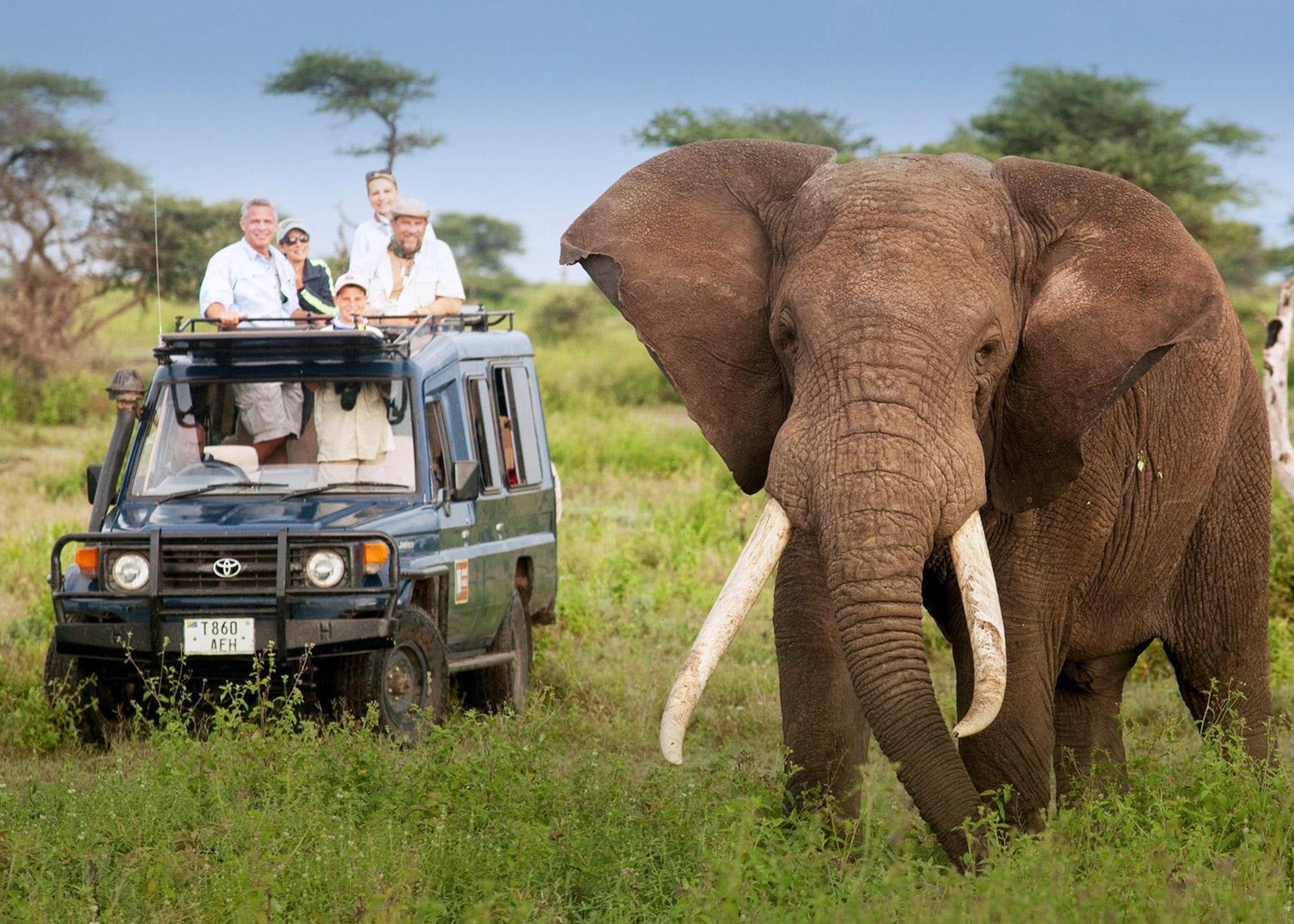 Image for San Diego Zoo Wildlife Alliance