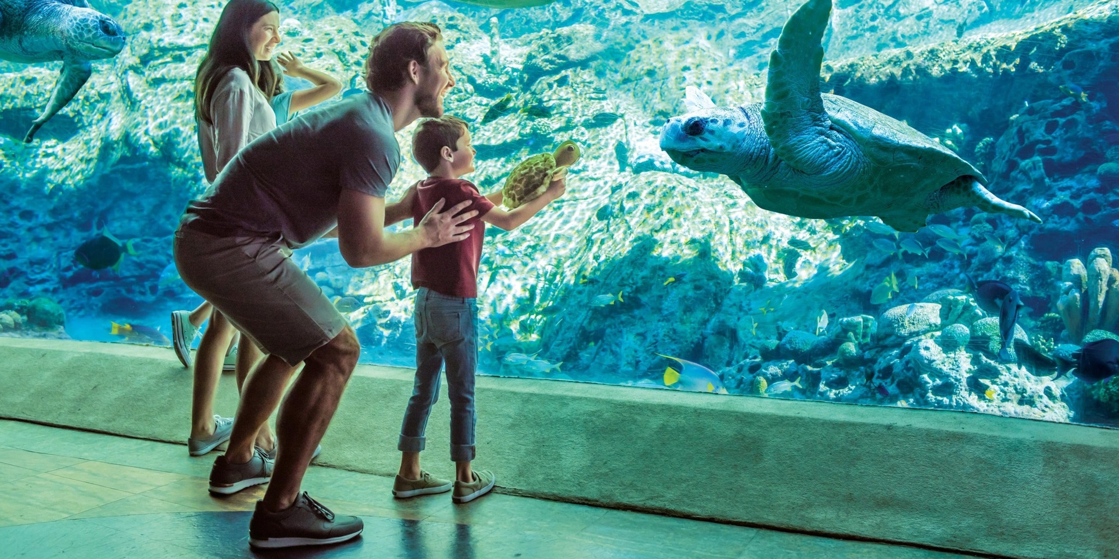 Image for SeaWorld (San Diego)