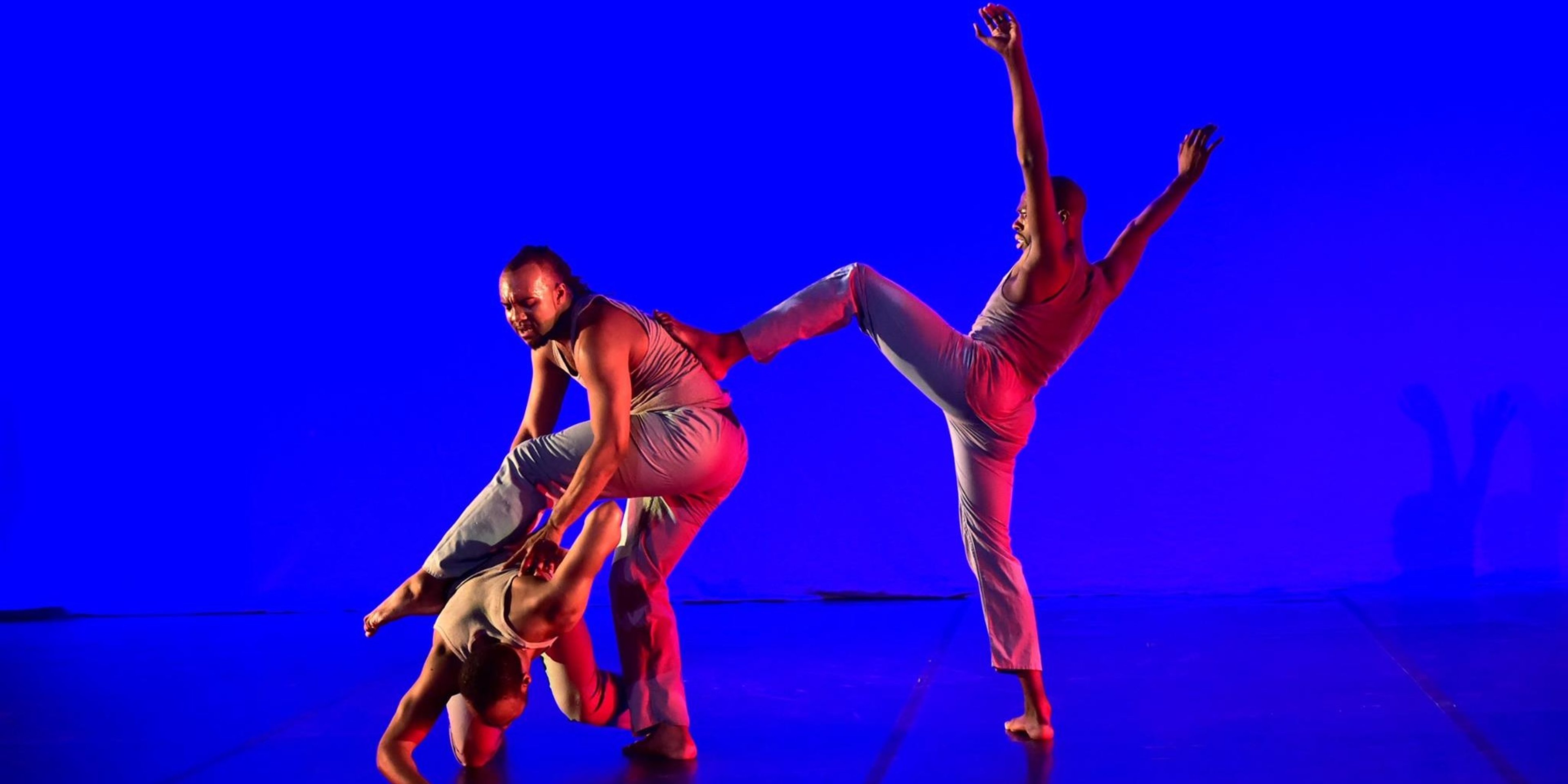 Image for Colorado Springs Fine Arts Center