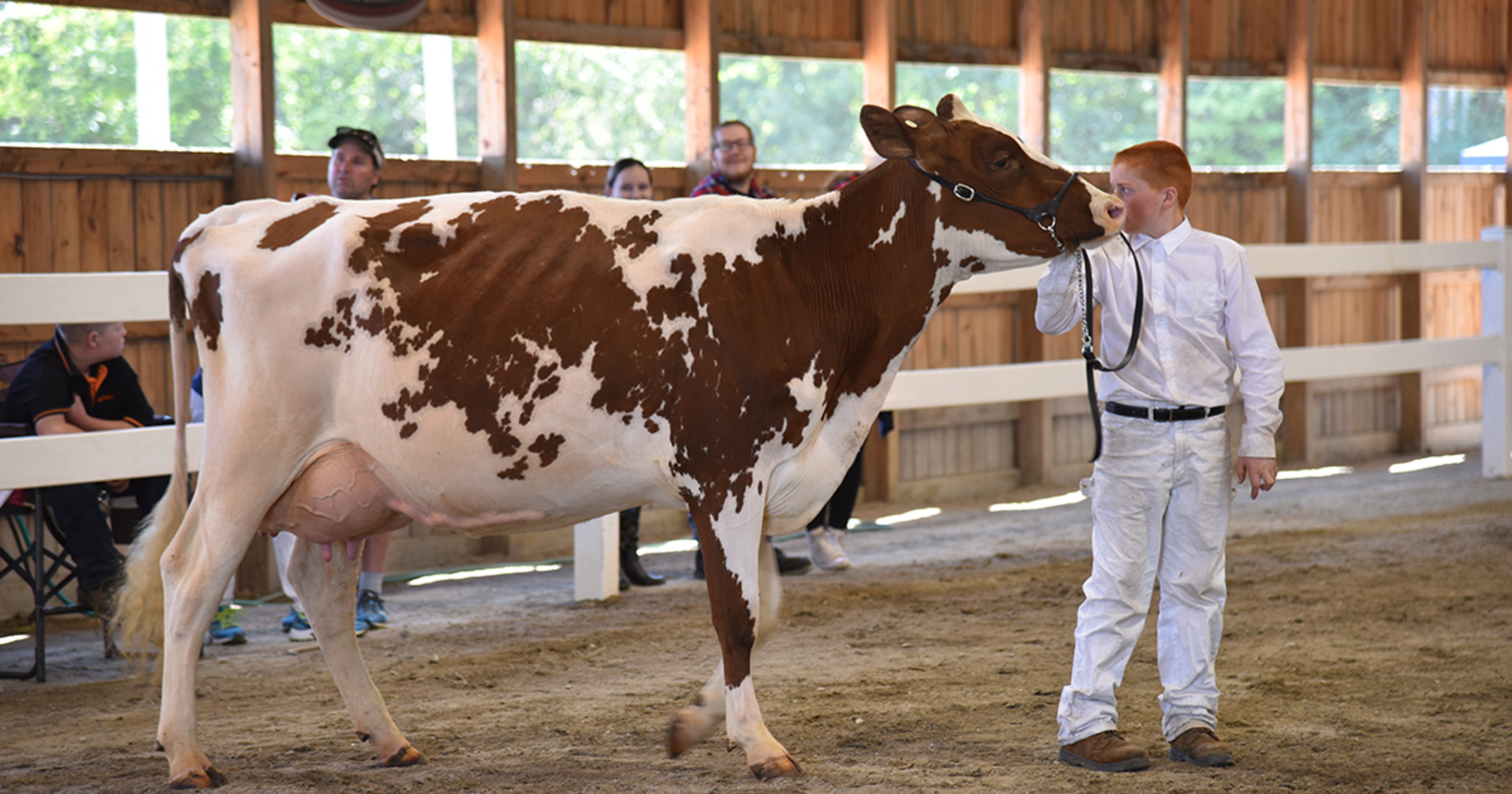 Image for Hopkinton State Fair