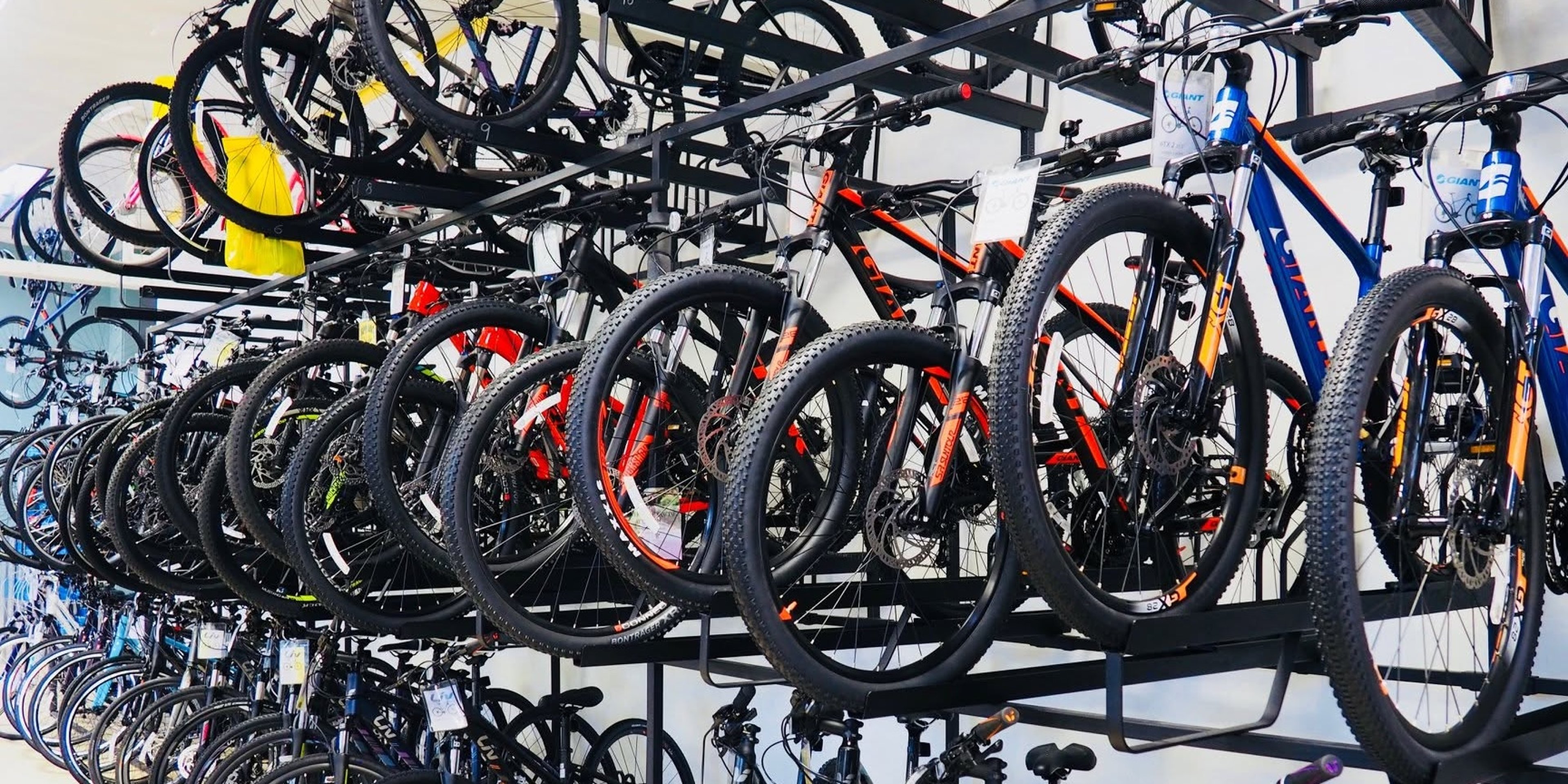 Image for Campus Cycles