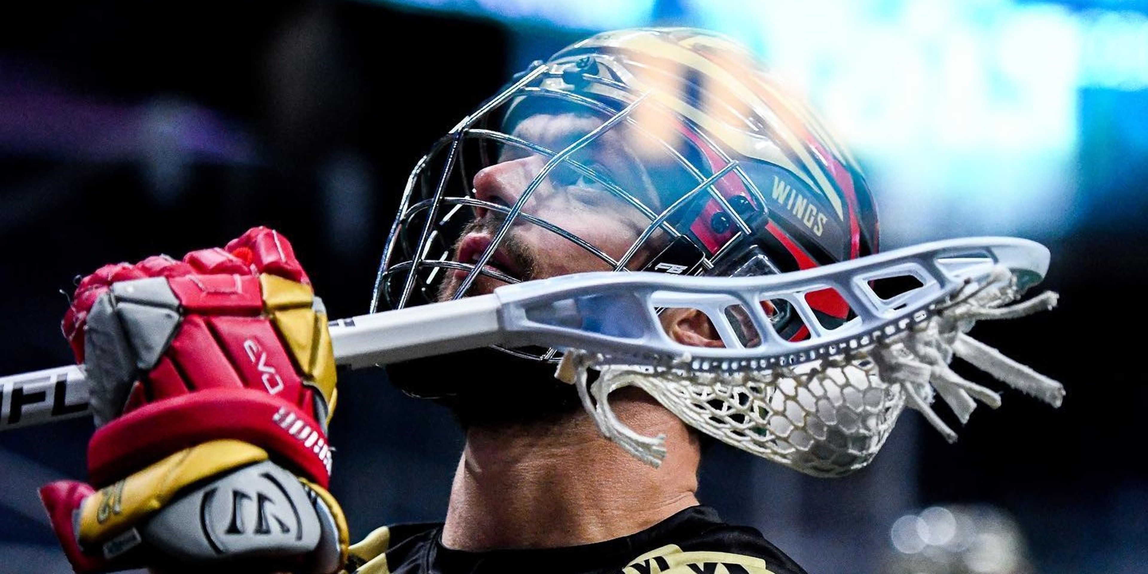 Image for Philadelphia Wings