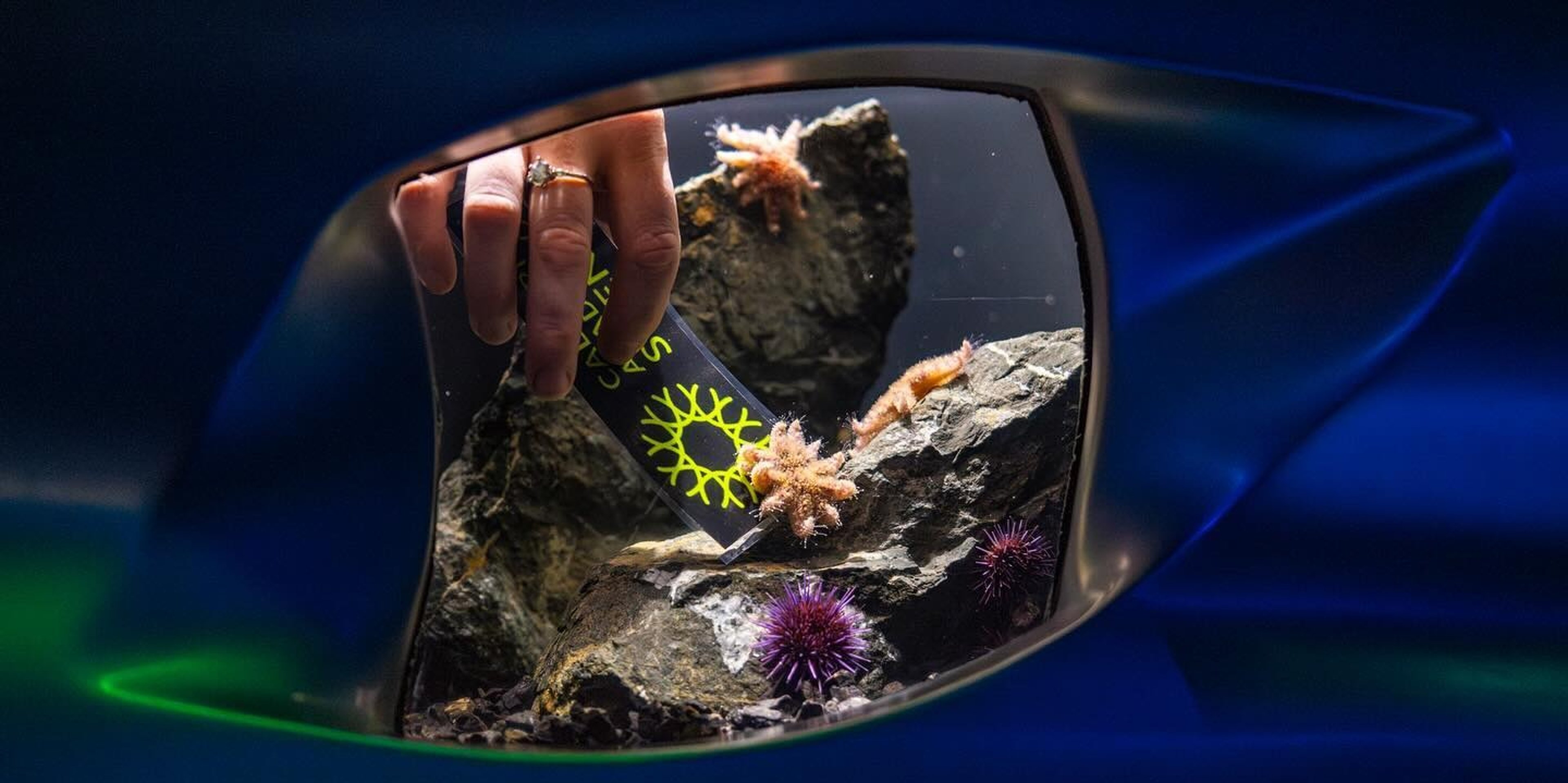 Image for Cal Academy of Sciences