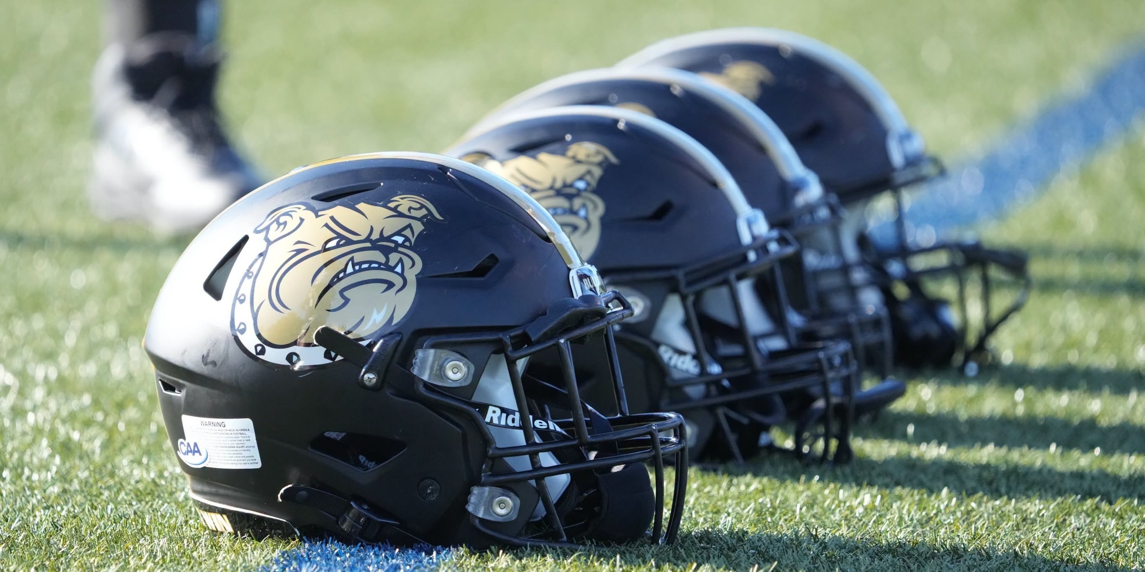 Image for Bryant University Athletics