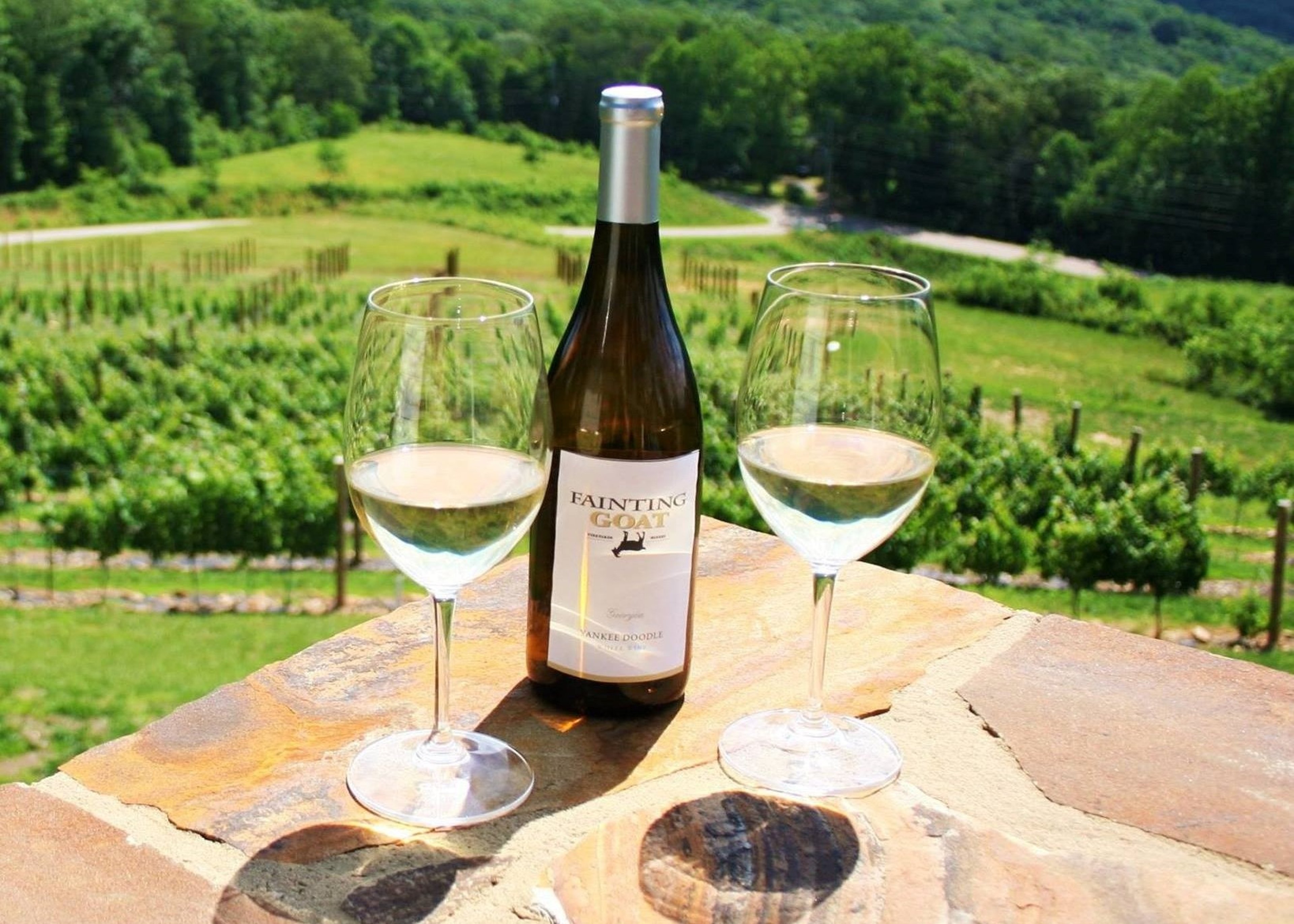 Image for Fainting Goat Vineyards & Winery