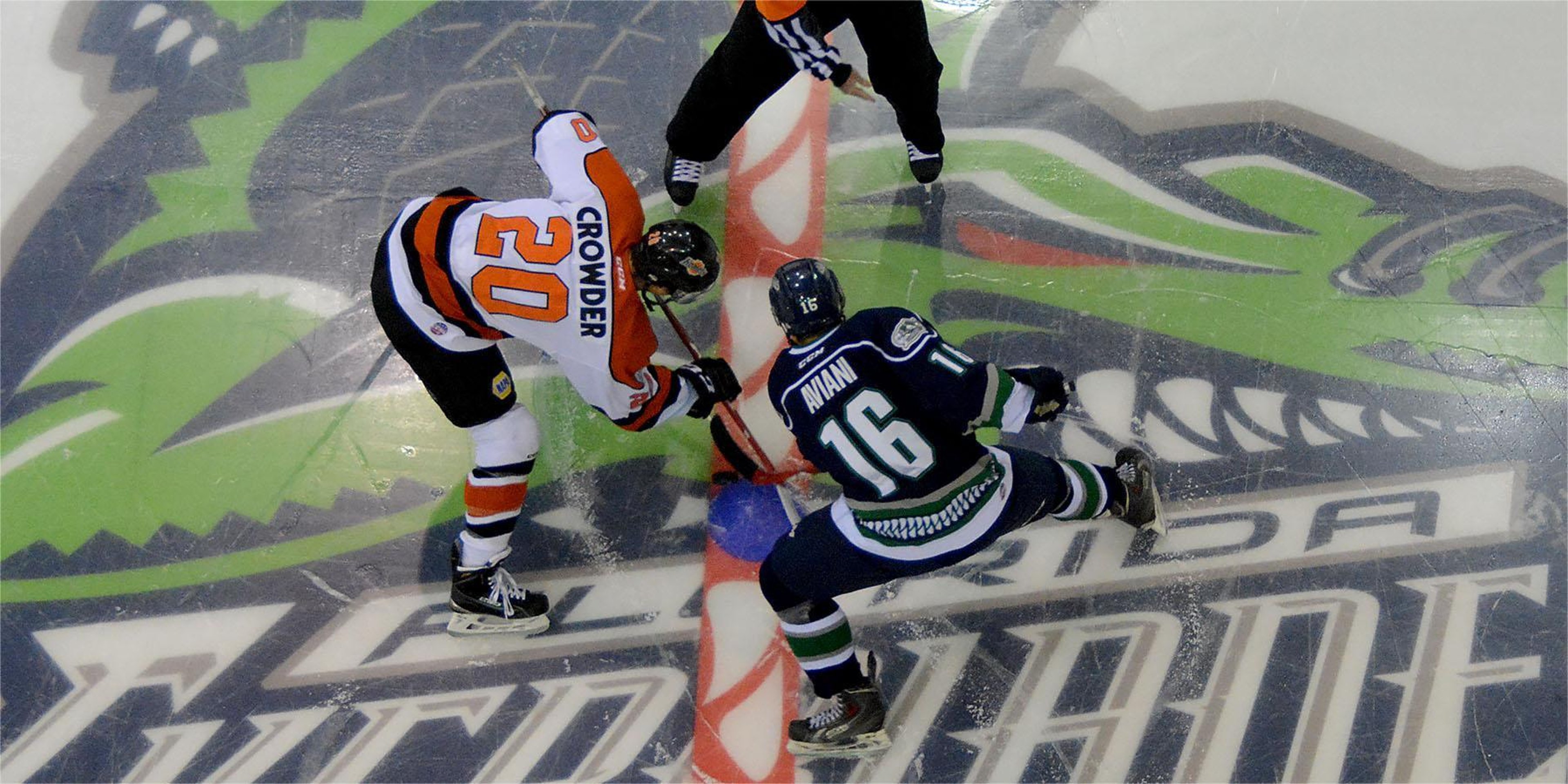 Image for Florida Everblades