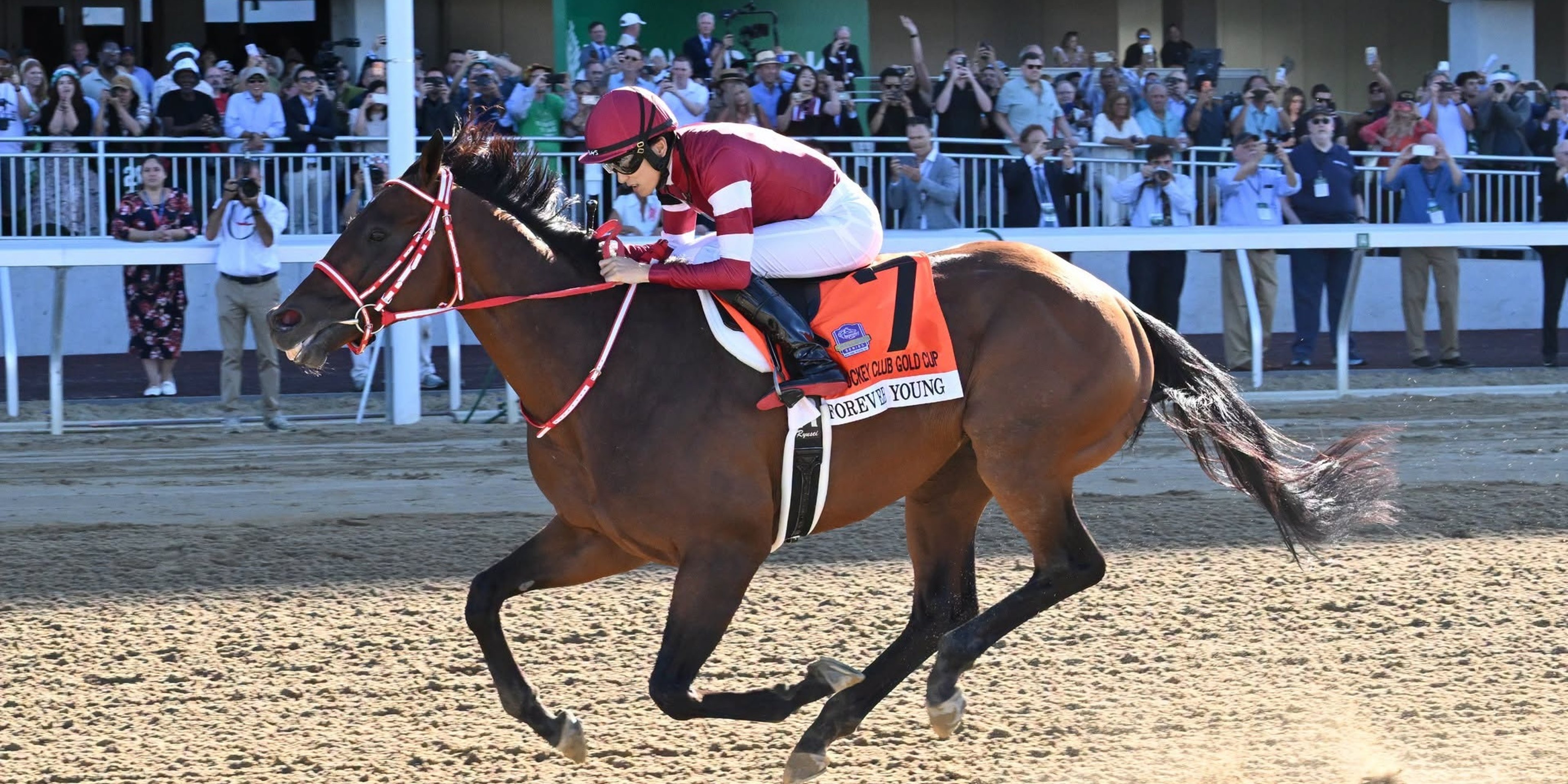 Image for New York Racing Association (NYRA)