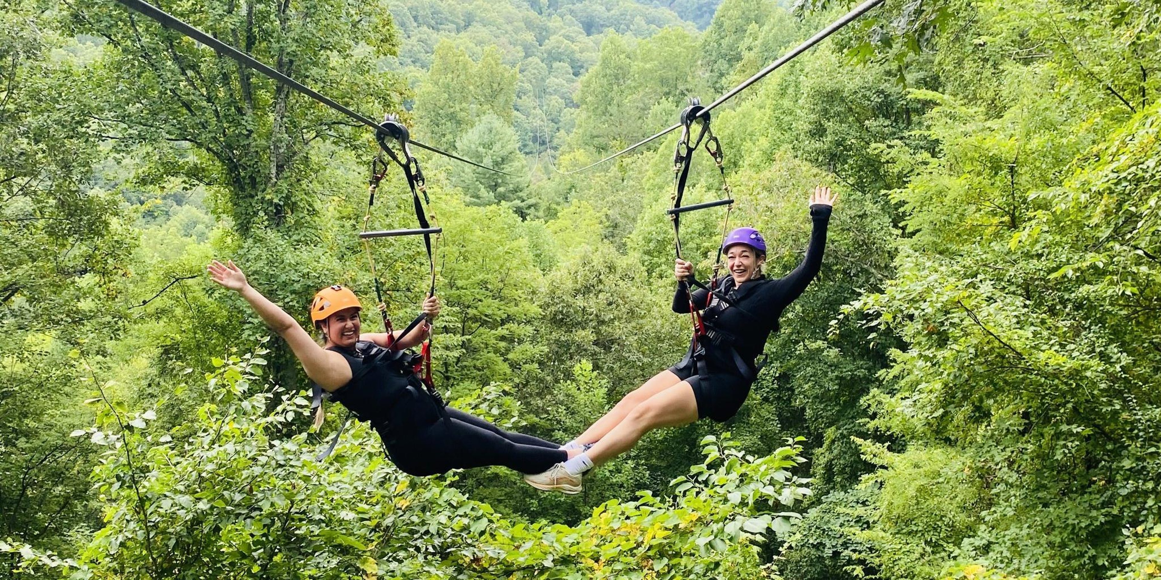 Image for Navitat Asheville