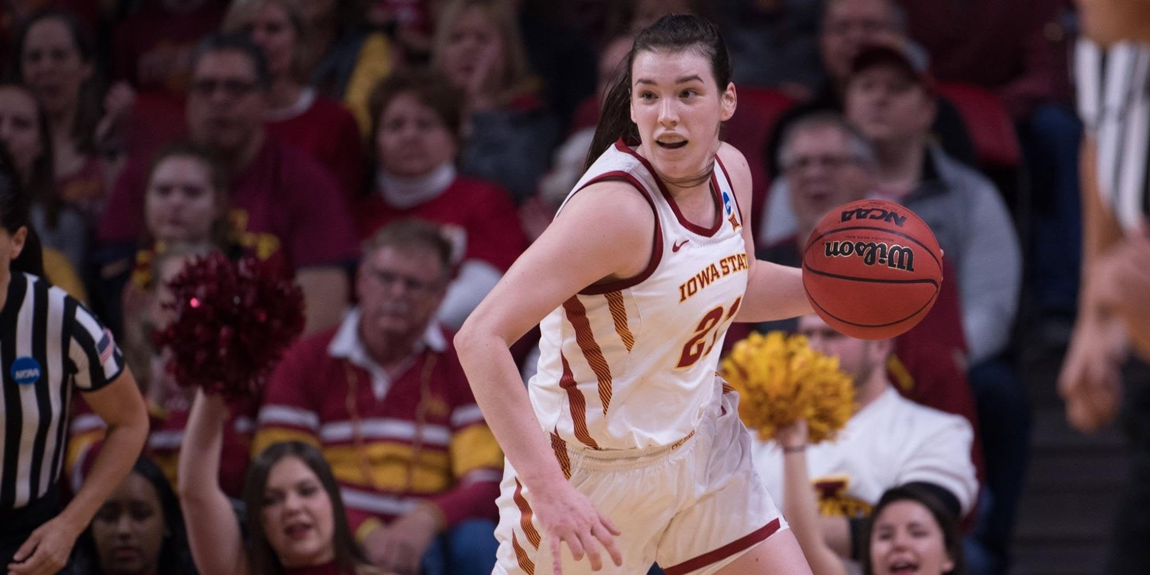 Image for Iowa State University Athletics 