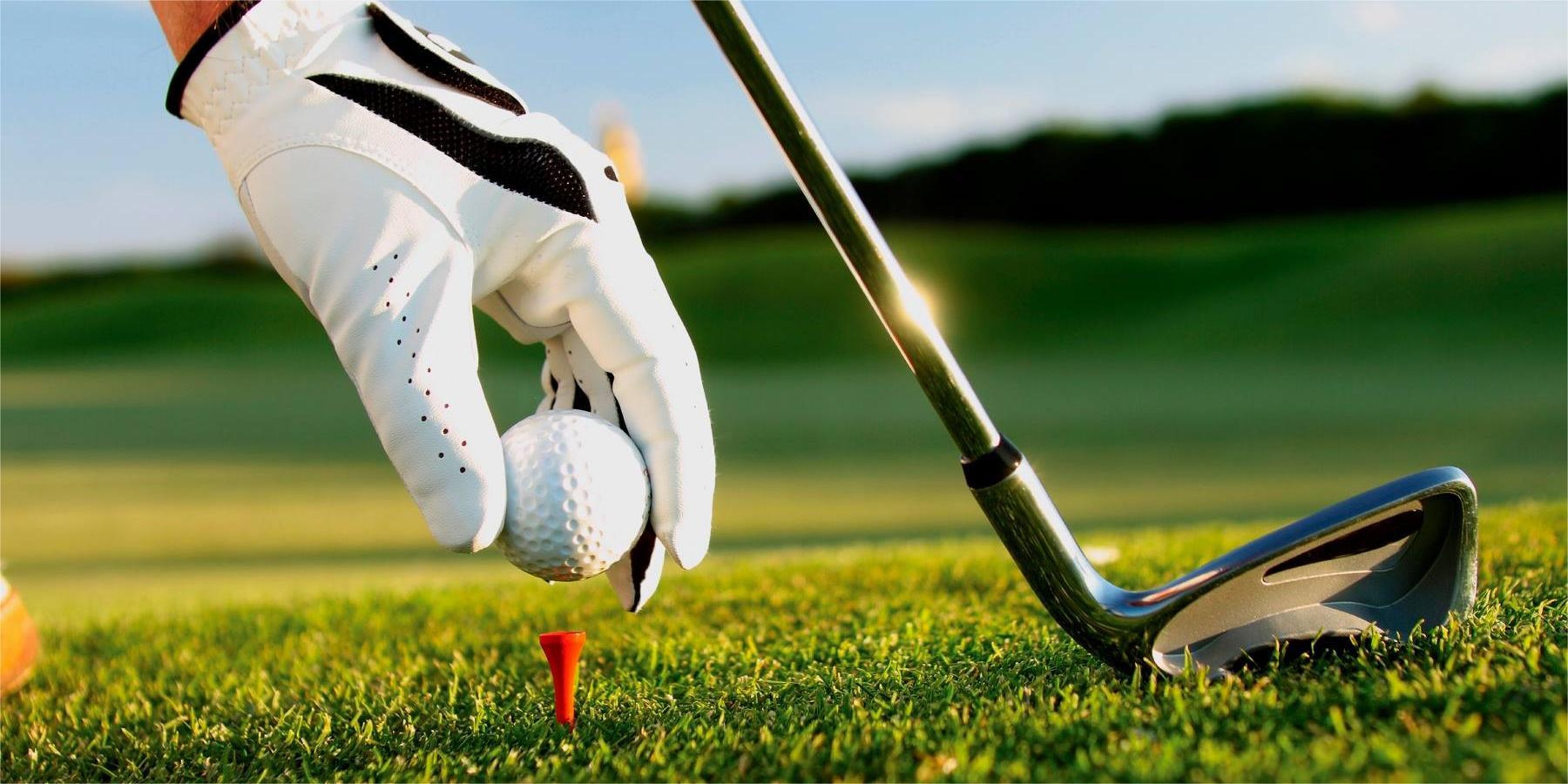 Image for Landis Creek Golf Club