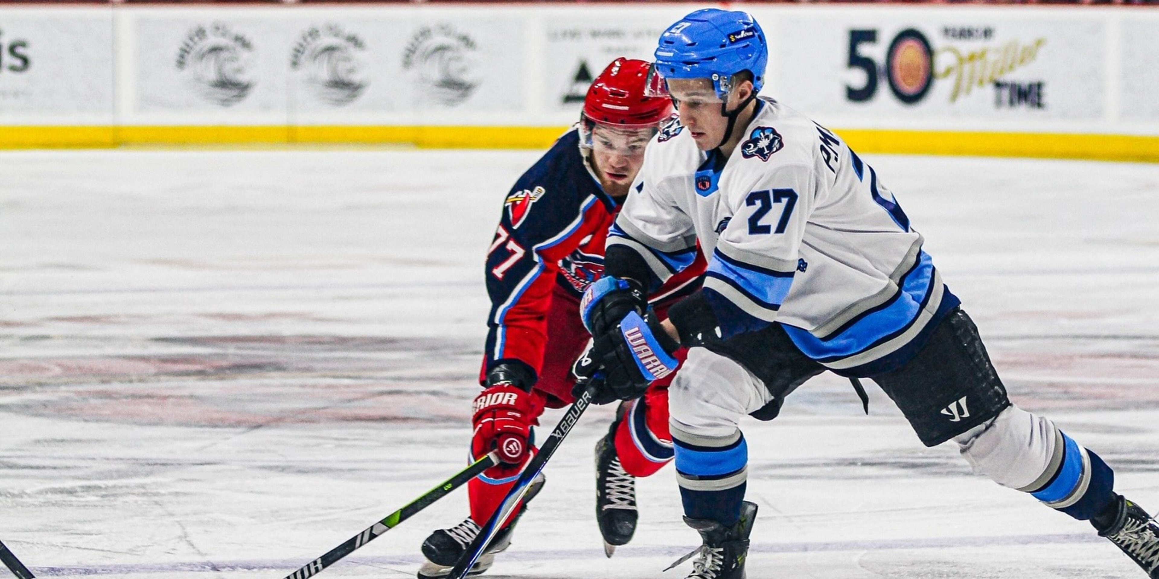 Image for Pee Dee Icecats