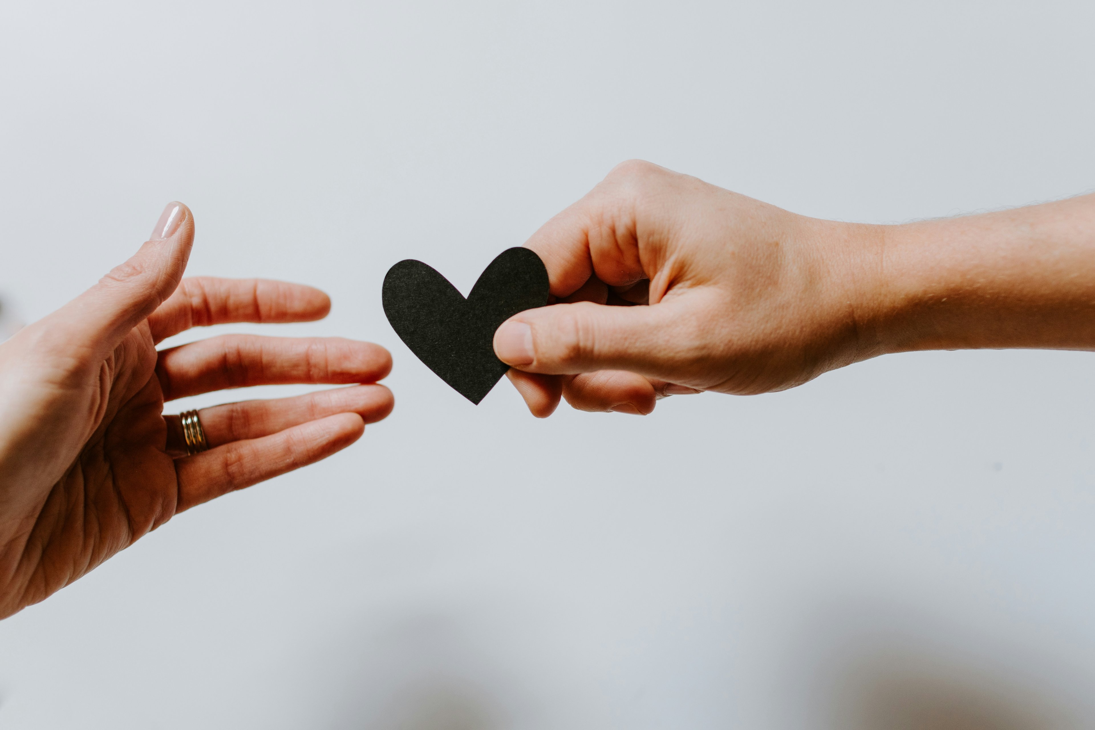 Cover photo for Grants, Product Donations, and More: Companies That Donate to Nonprofits