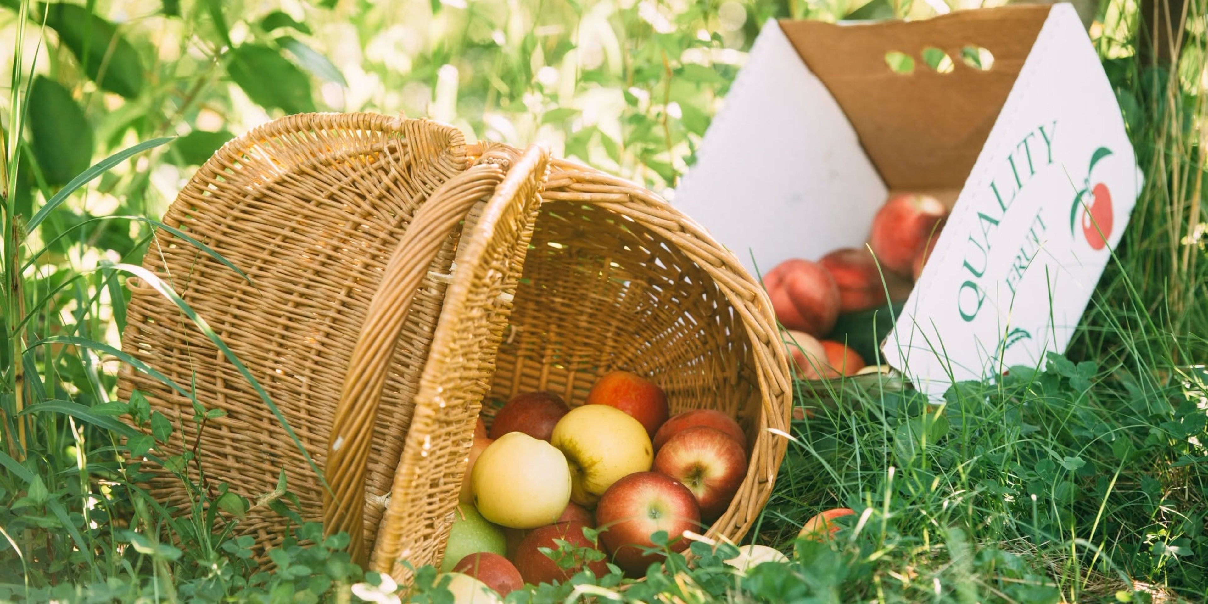 Image for Great Country Farms