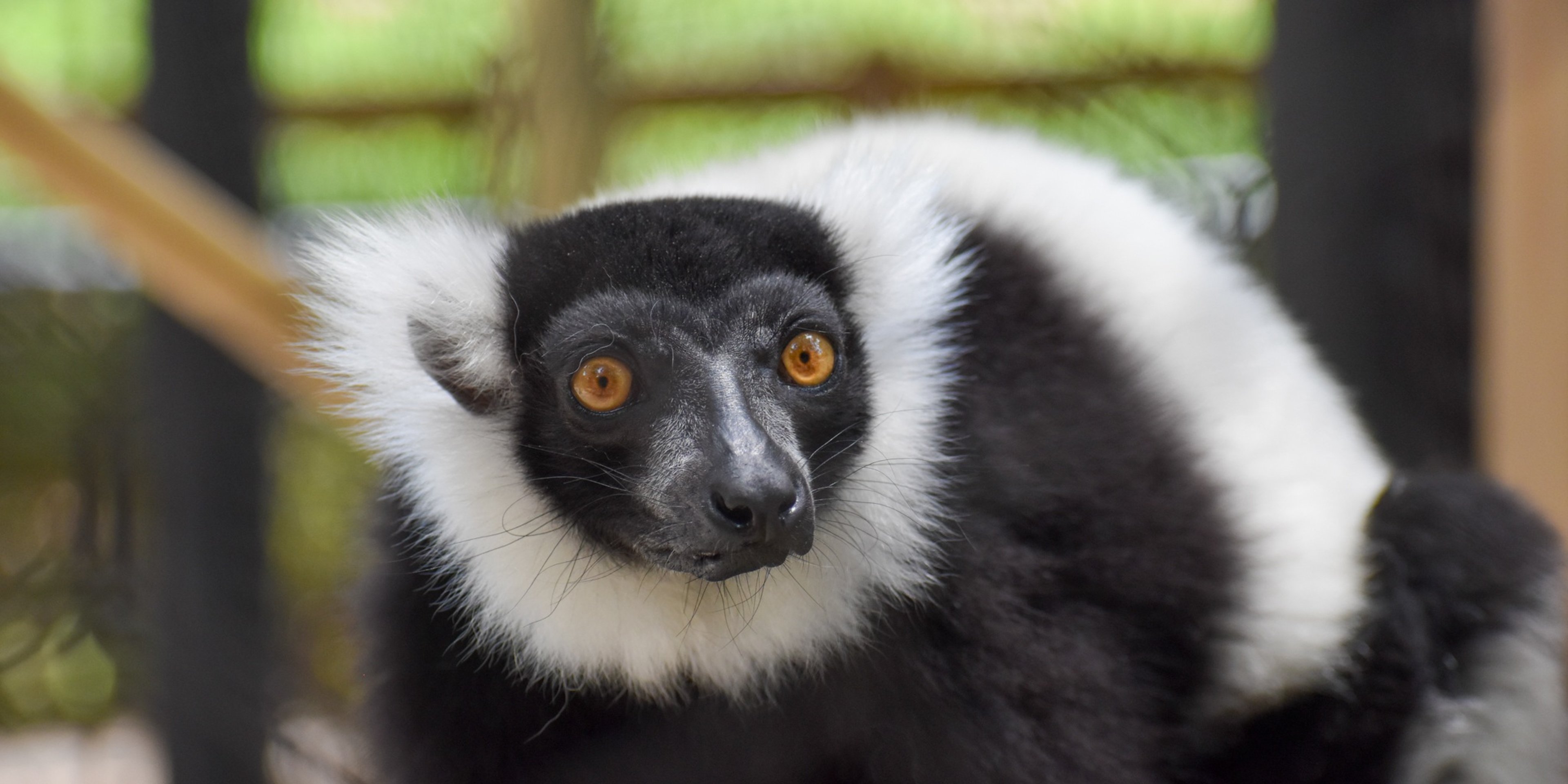 Image for Greenville Zoo