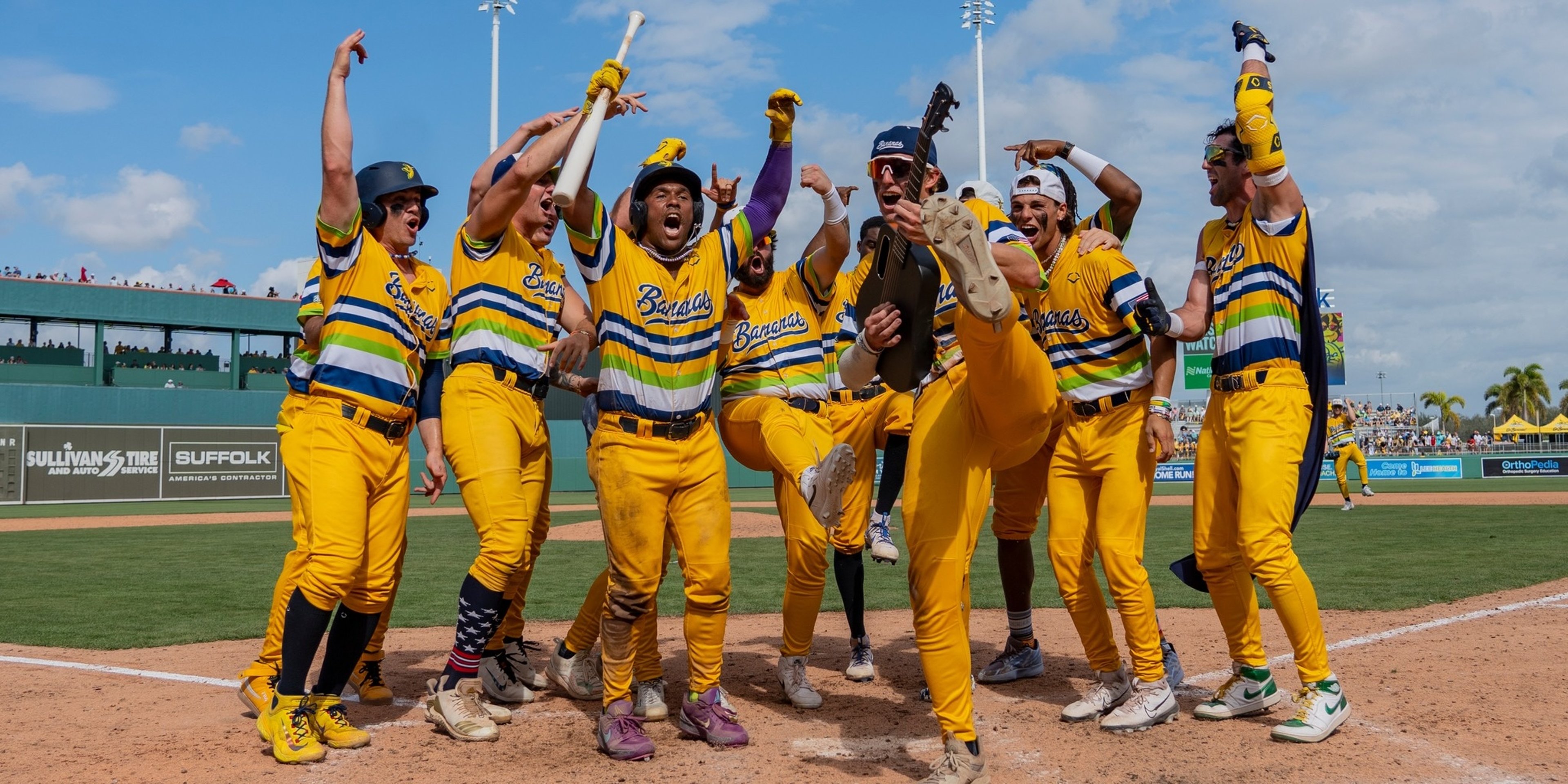 Image for Lincoln Saltdogs