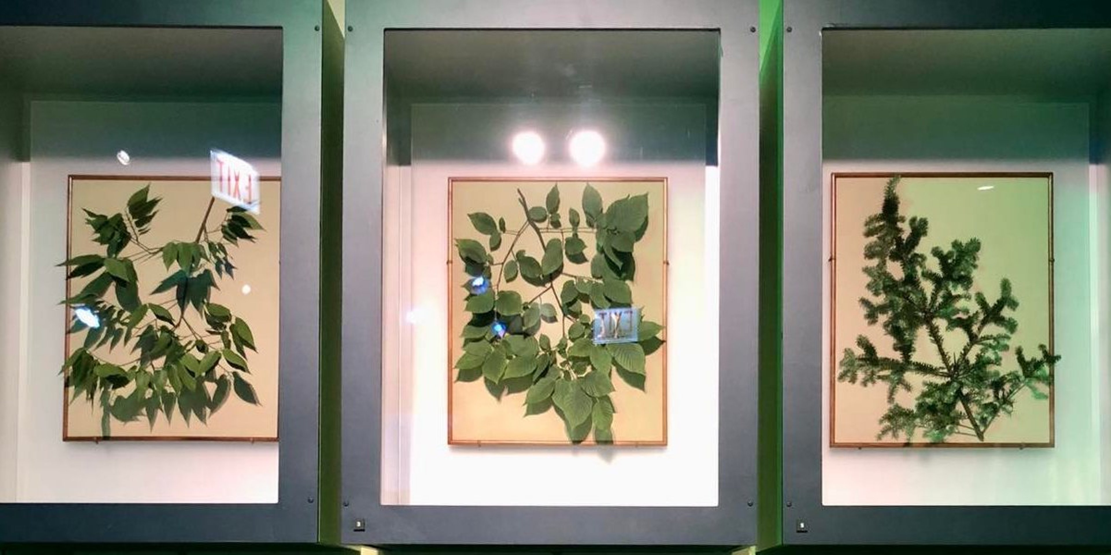 Image for Field Museum