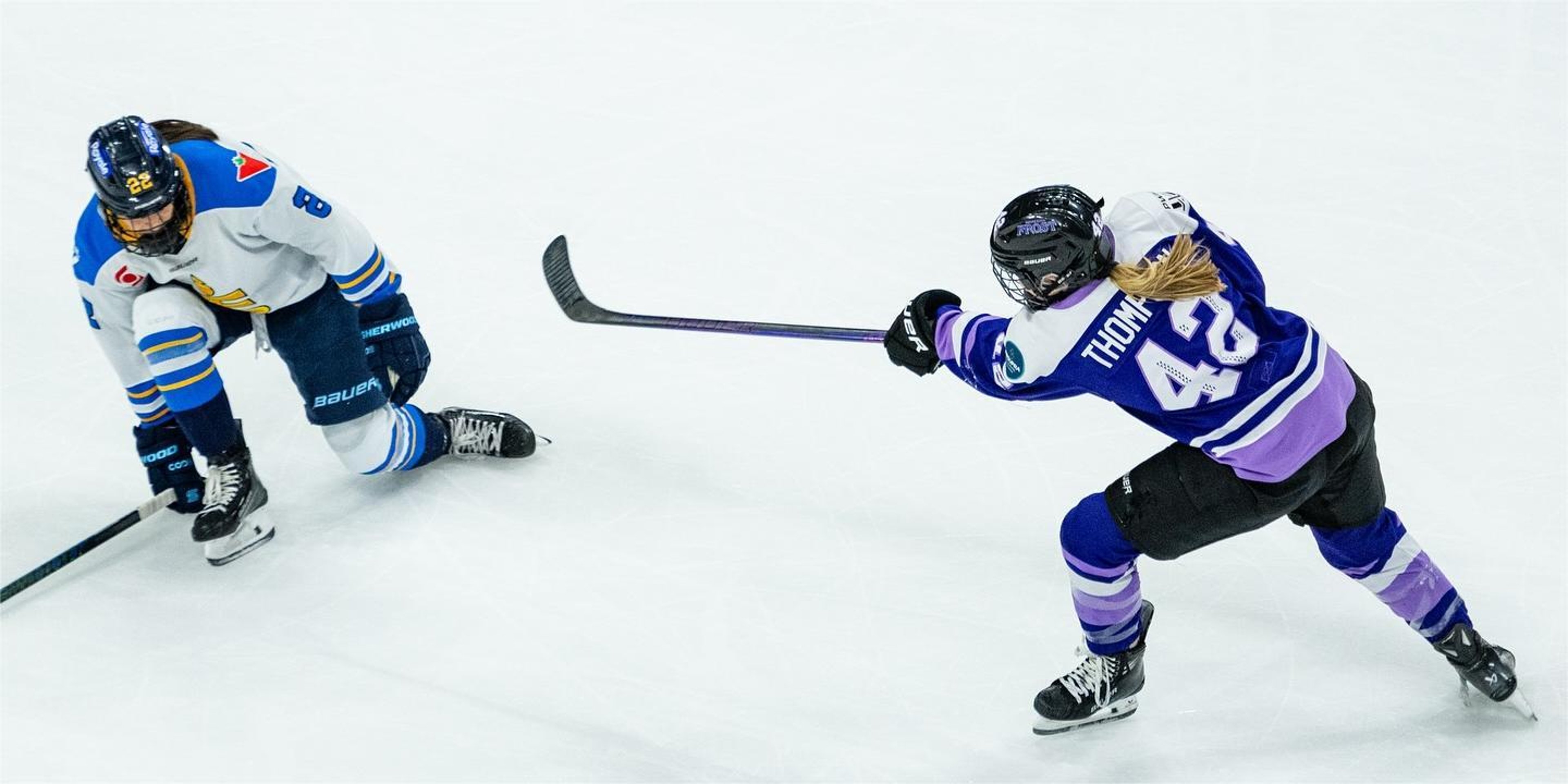 Image for Minnesota Frost