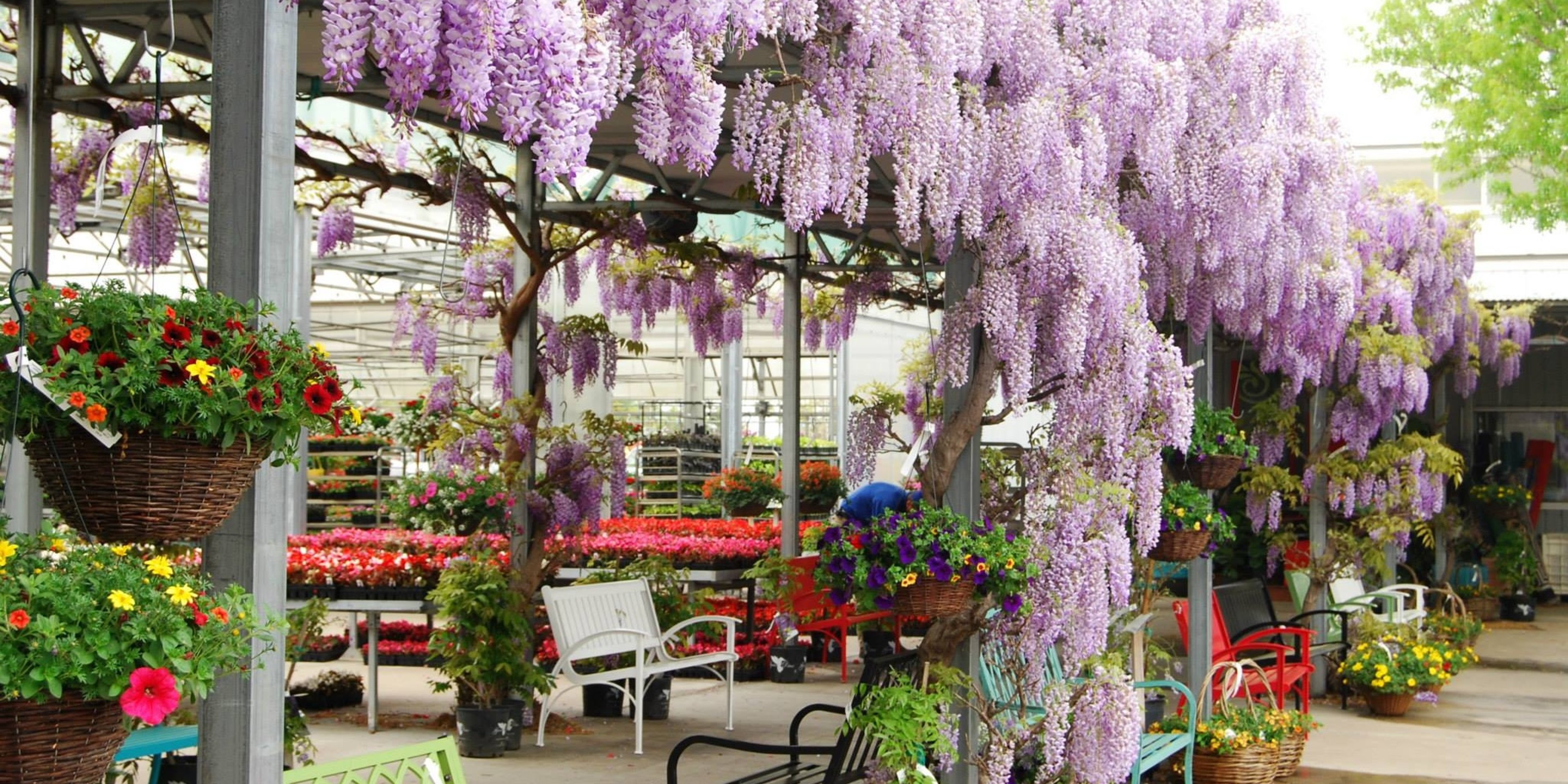 Image for Southwood Garden