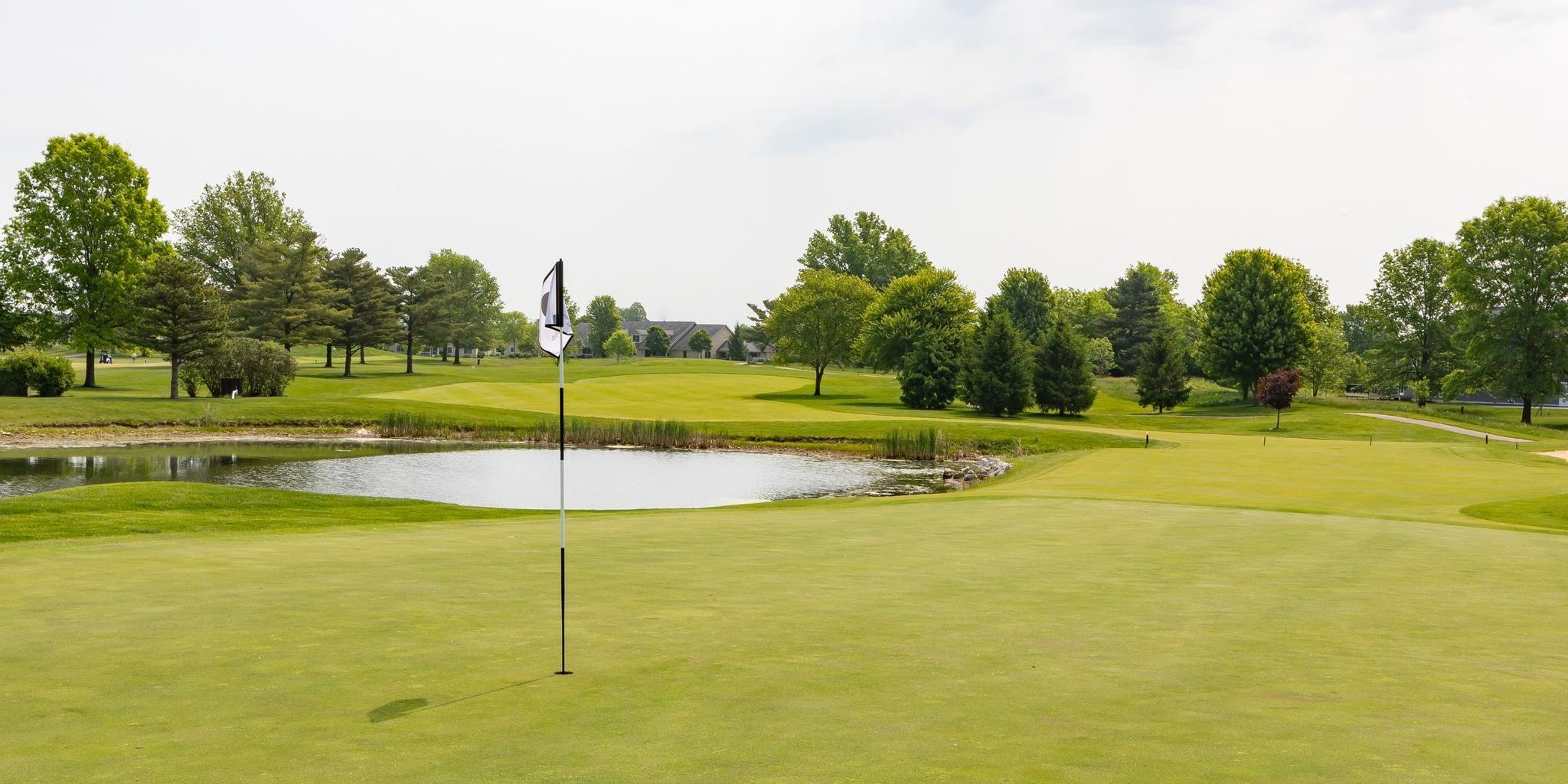 Image for Columbus Collective