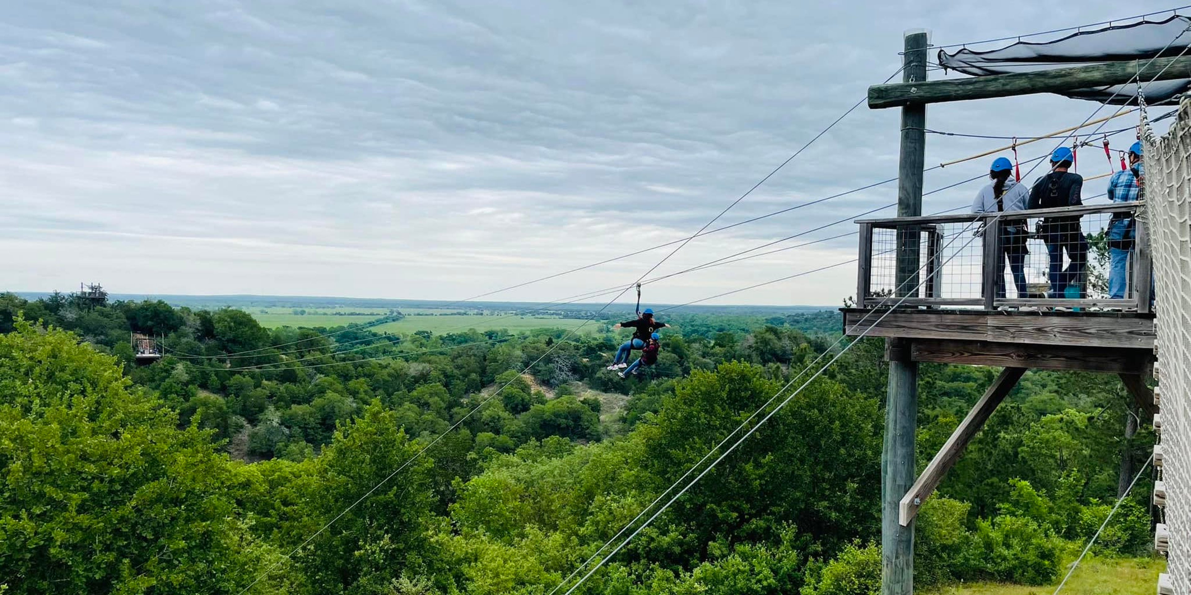 Image for Zip Lost Pines