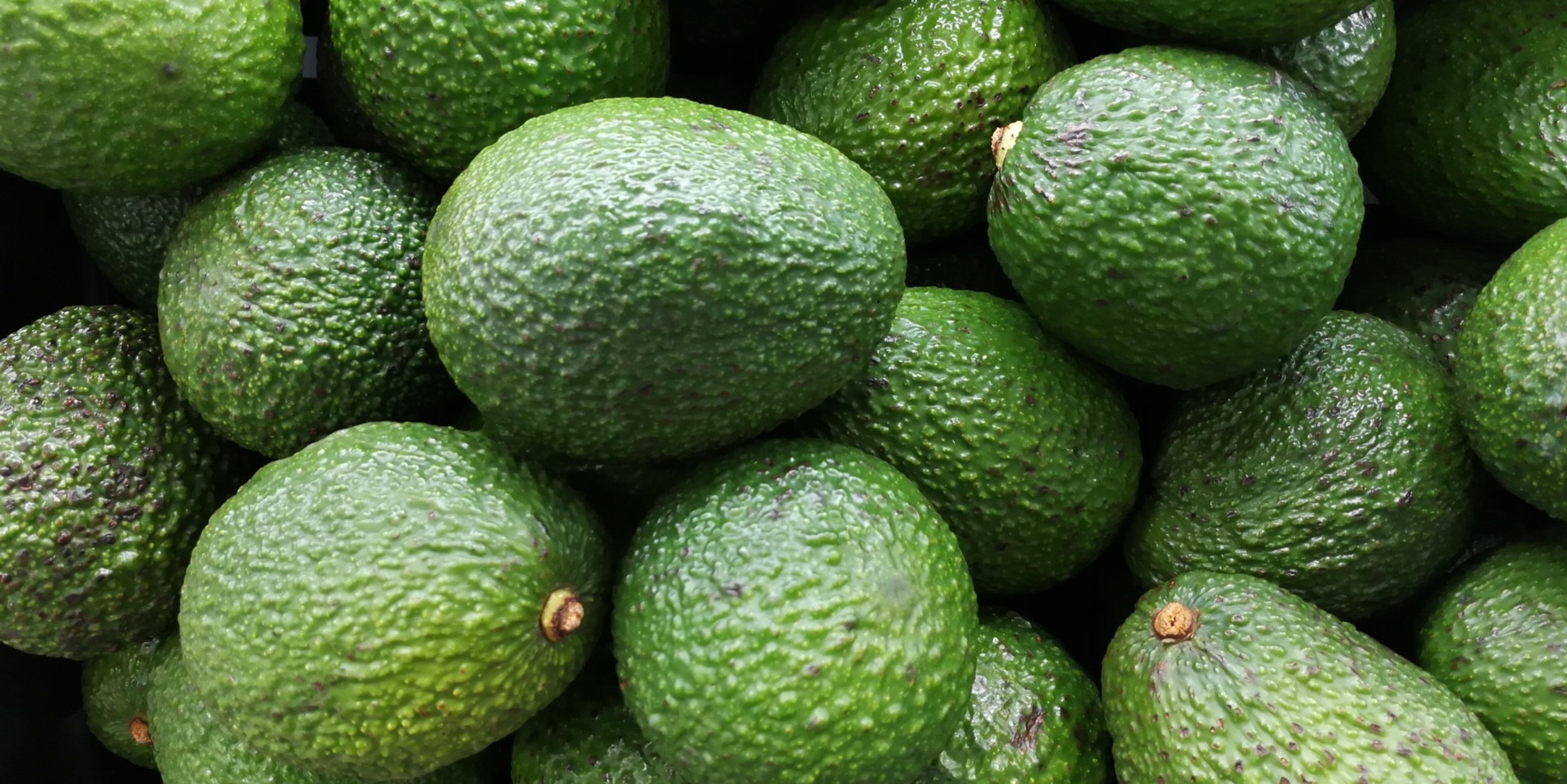 Image for Rainbow Blossom