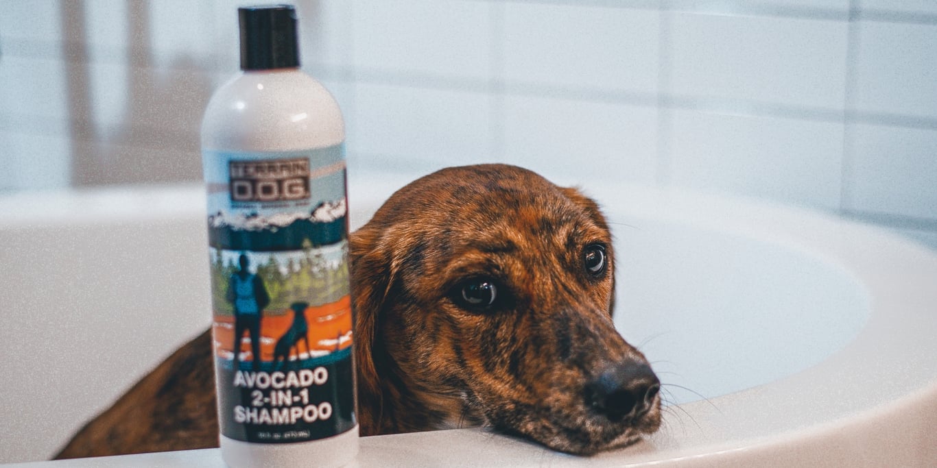 Terrain Dog Donation Request