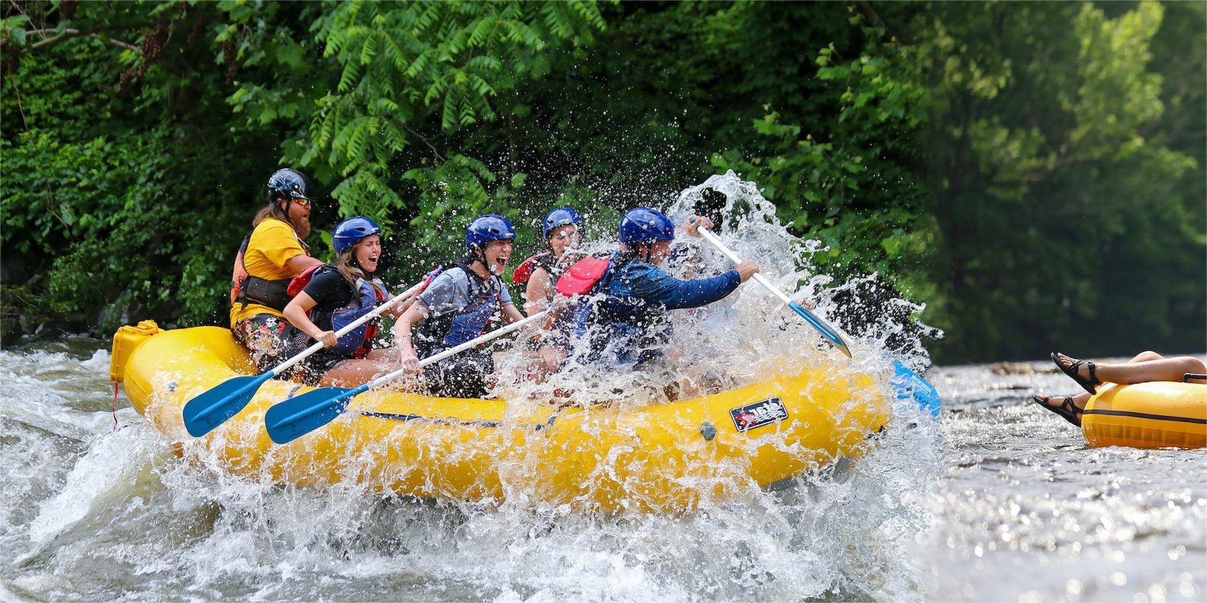 Image for Smoky Mountain River Rat
