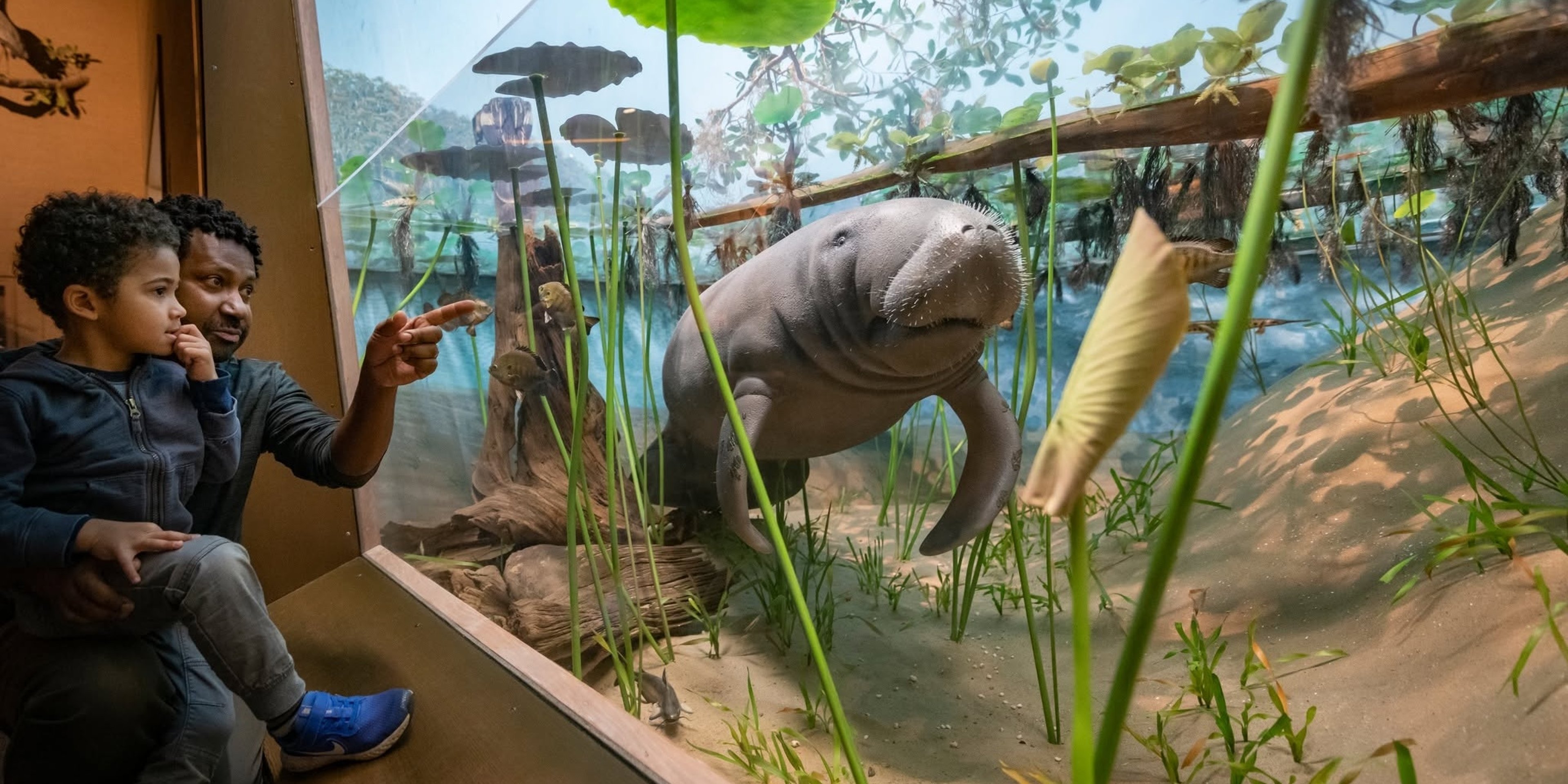 Image for Milwaukee Public Museum