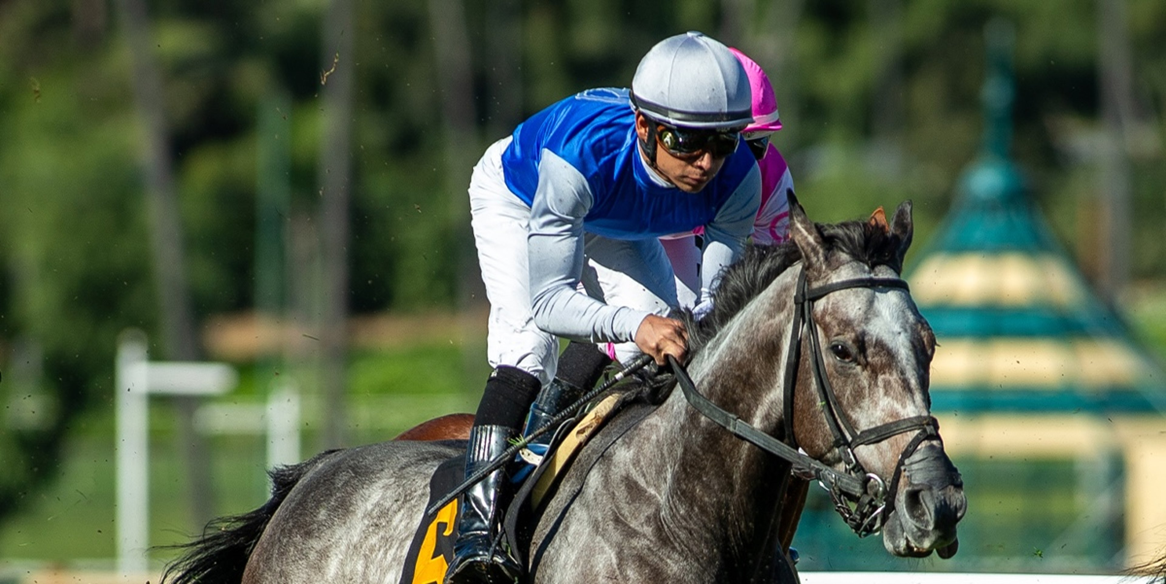 Image for Santa Anita Park