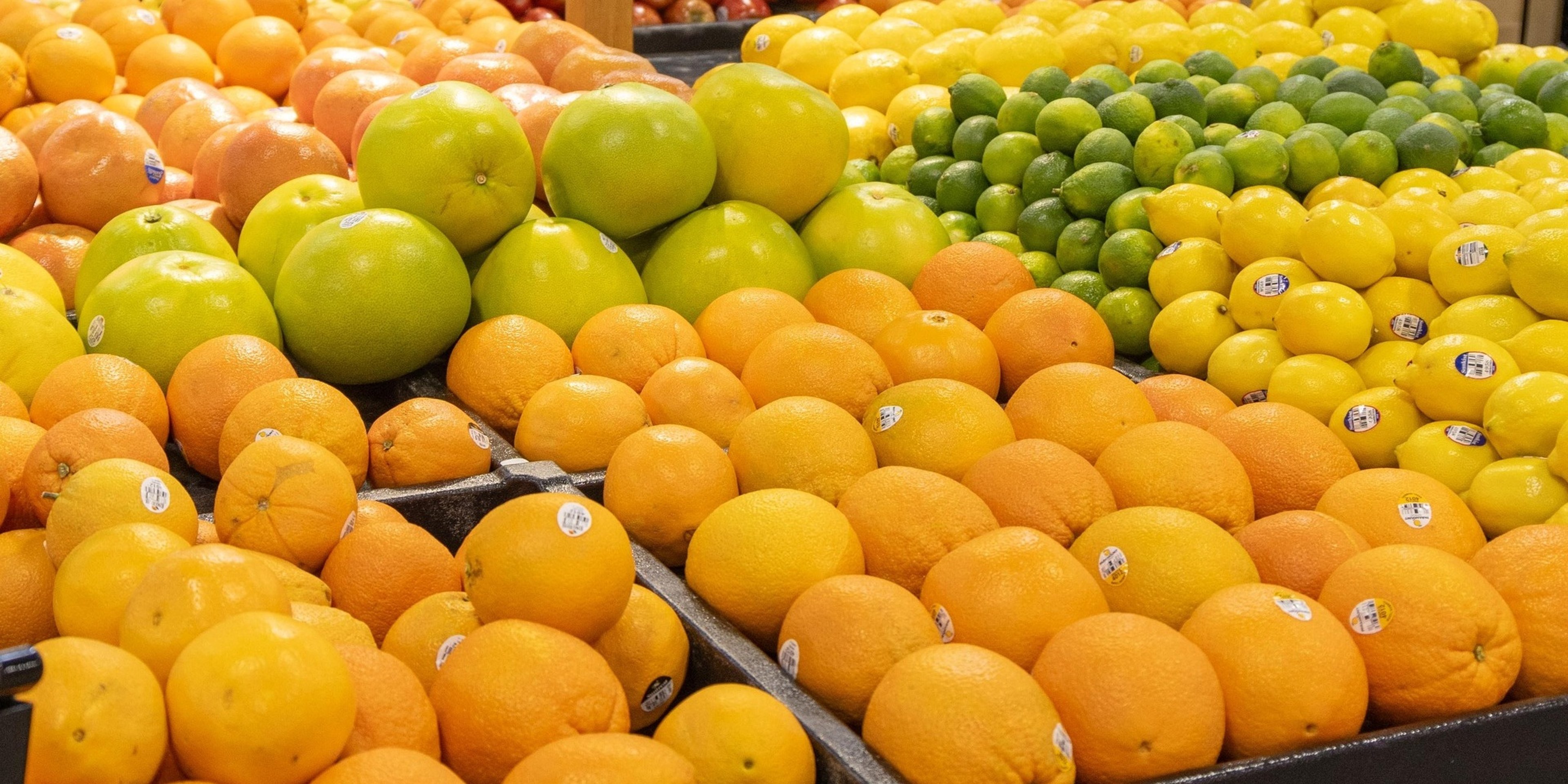 Image for The United Family