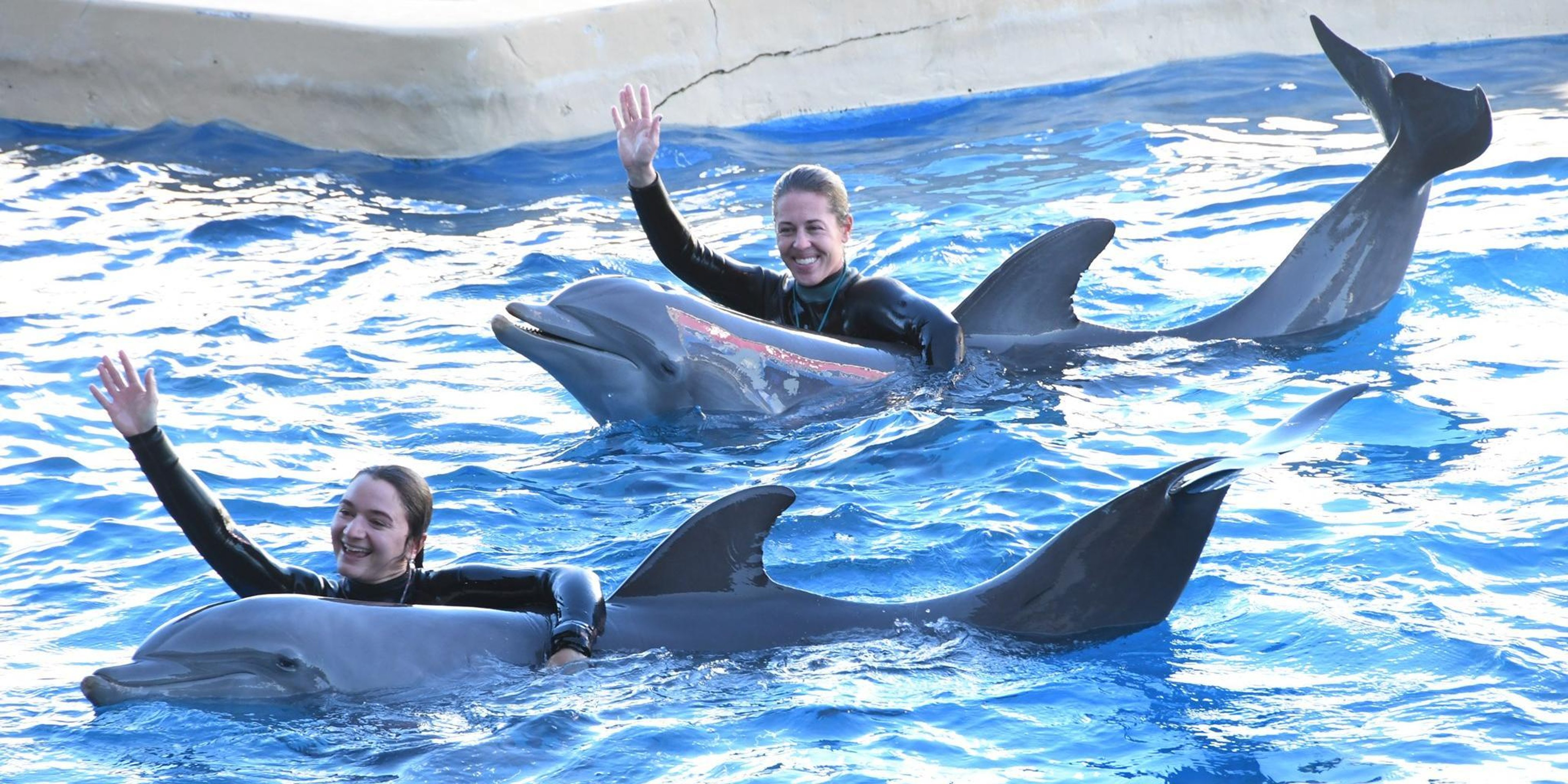 Image for Gulf World Marine Park