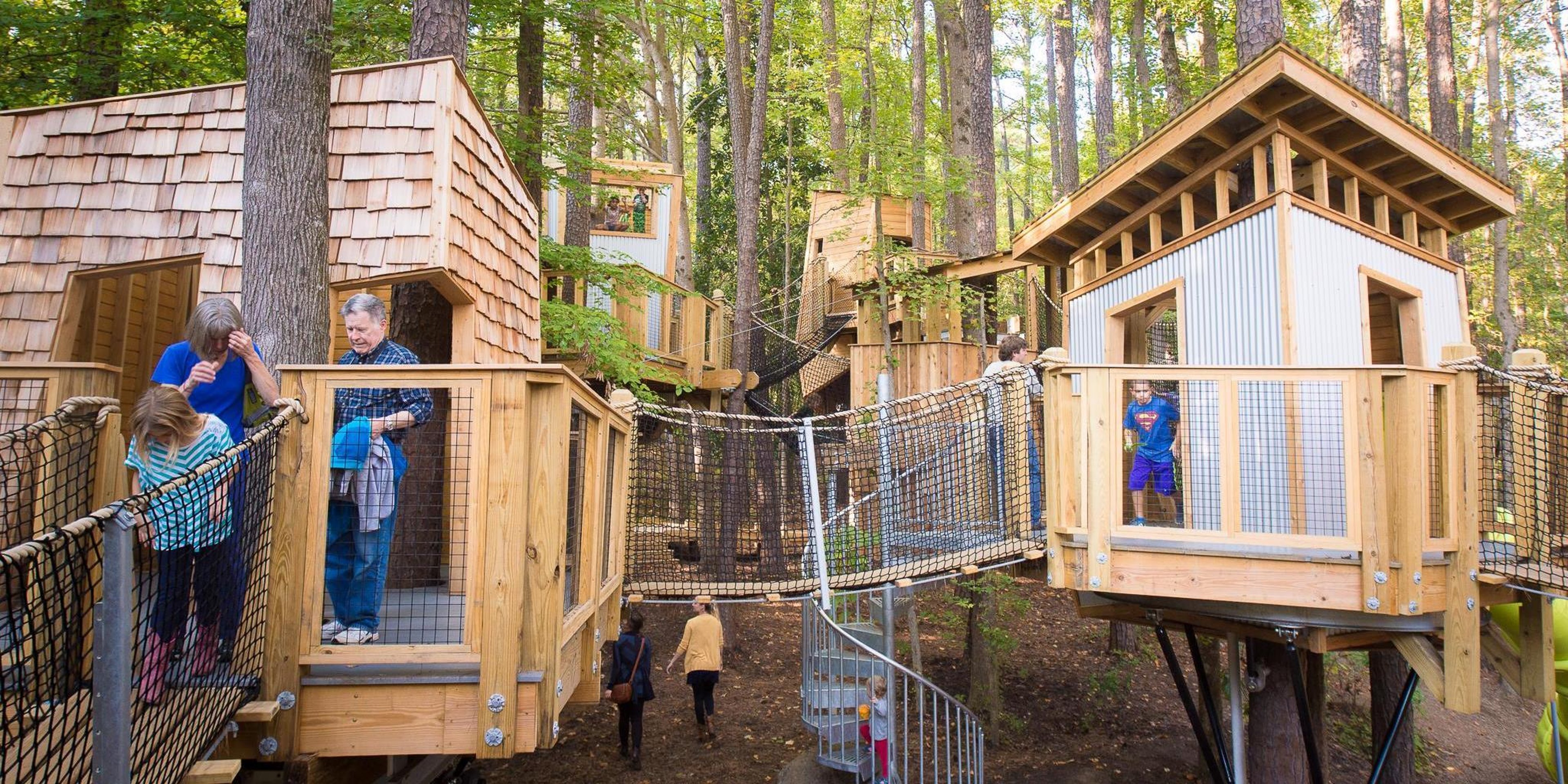 Image for The Museum of Life and Science