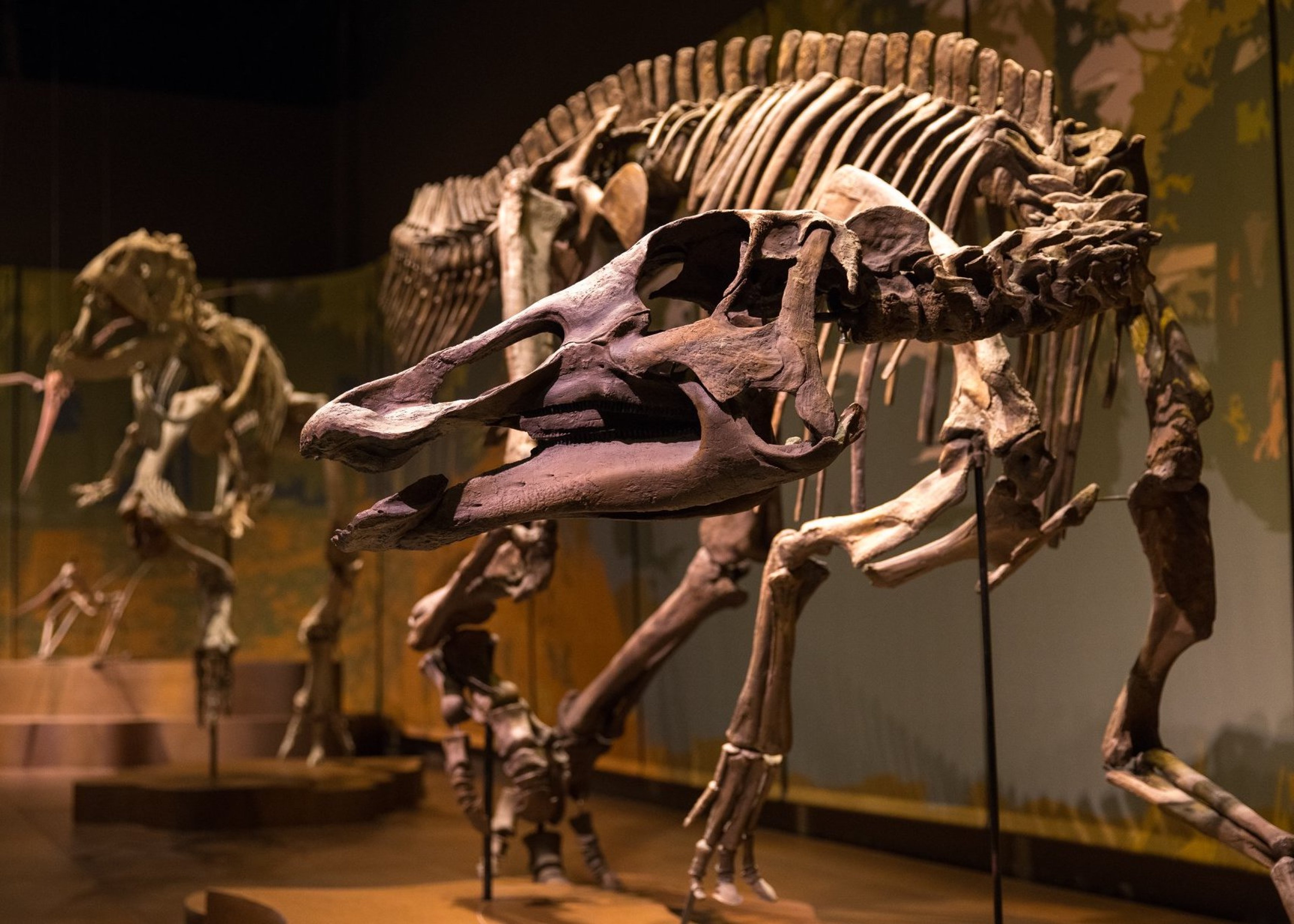 Image for Tellus Science Museum