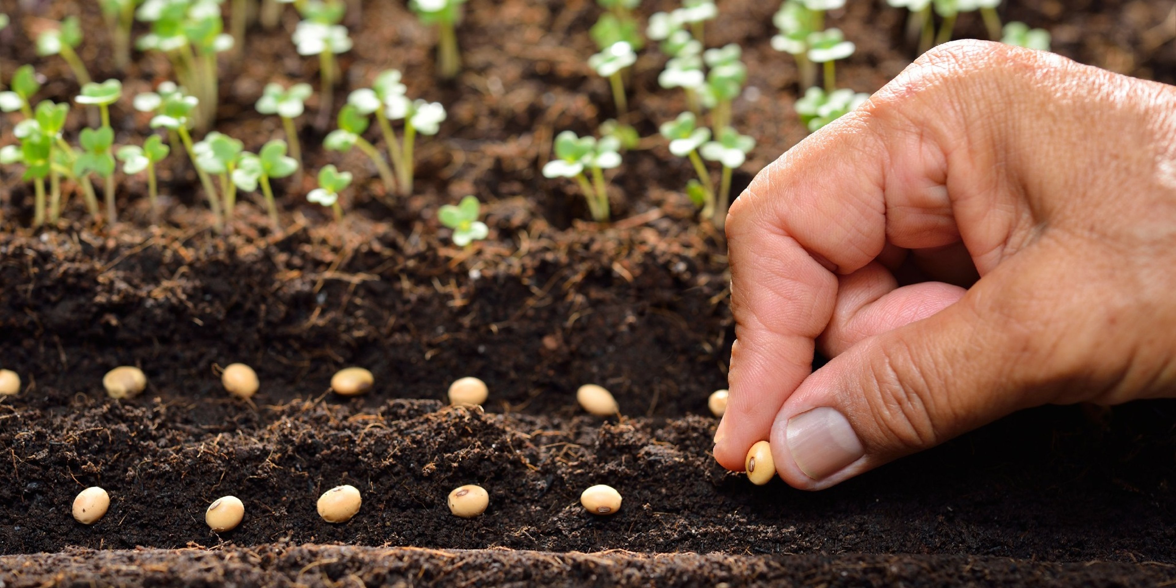 Image for Fleet Farm