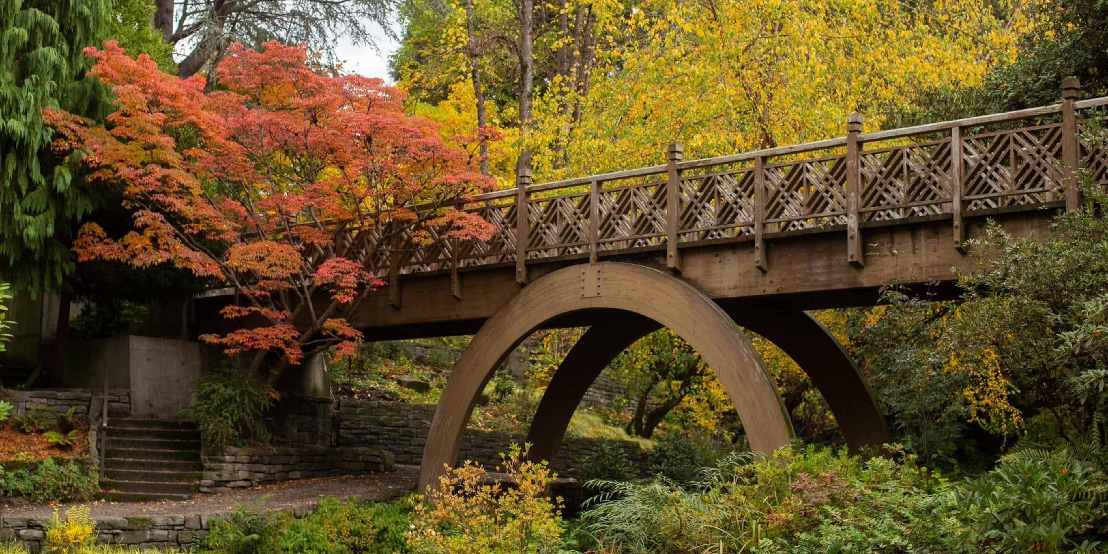 Image for Crystal Springs Rhododendron Garden