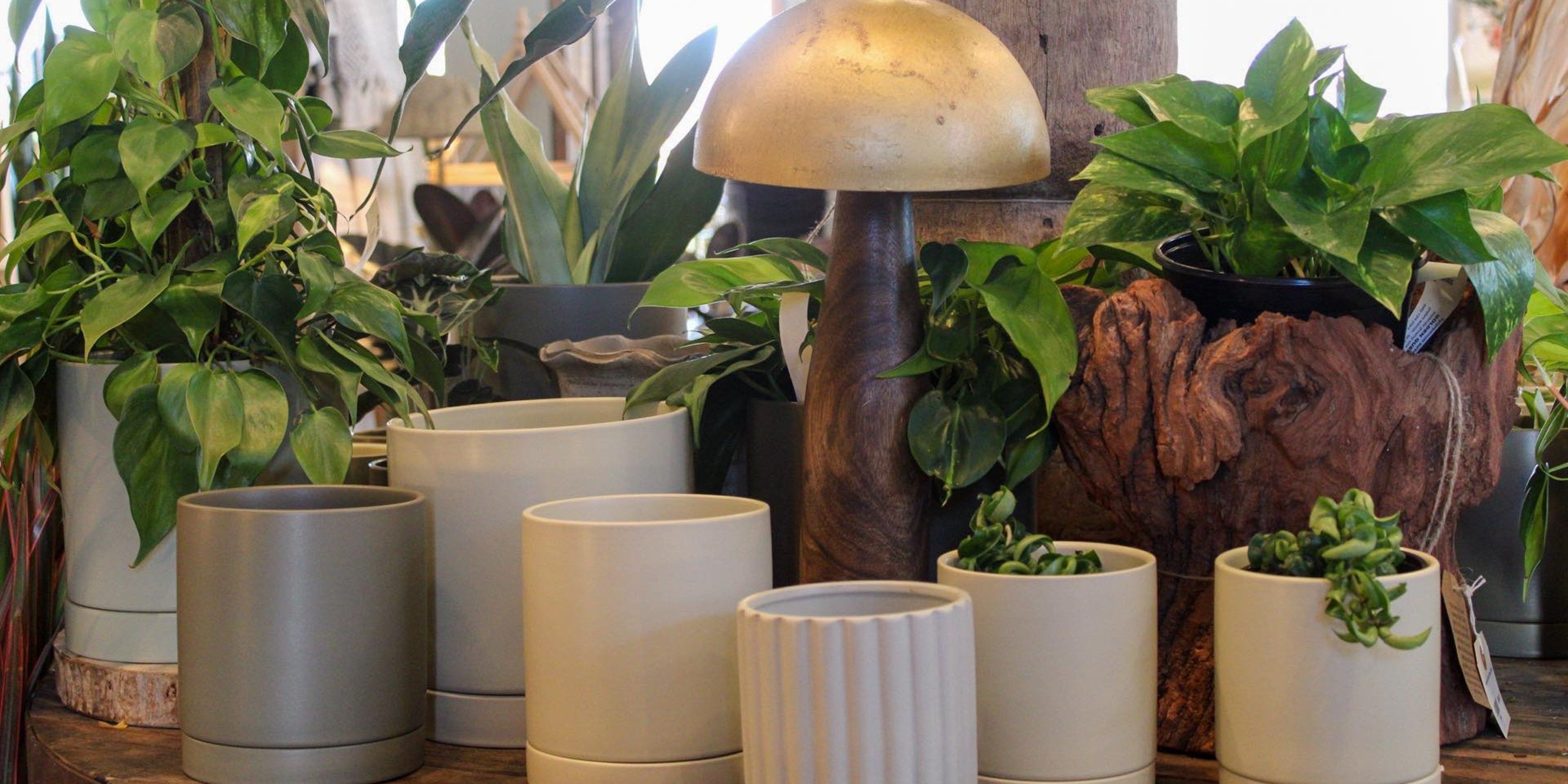 Image for Iowa City Landscaping & Garden Center