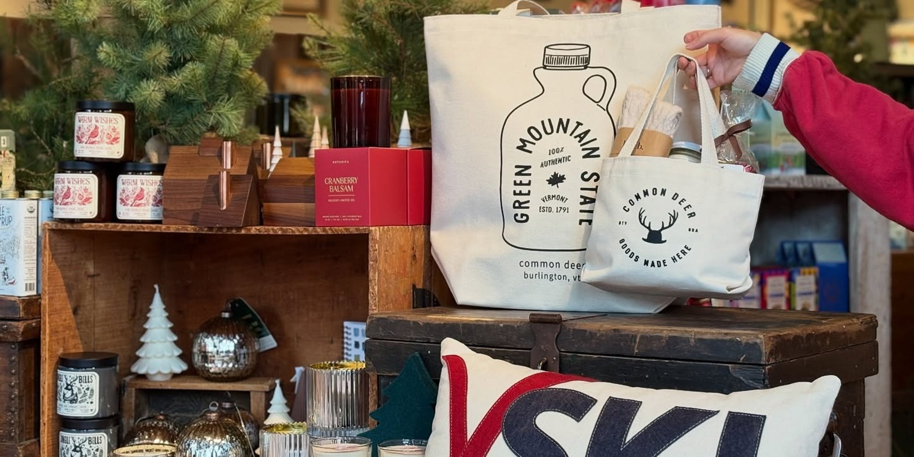 Image for Common Deer