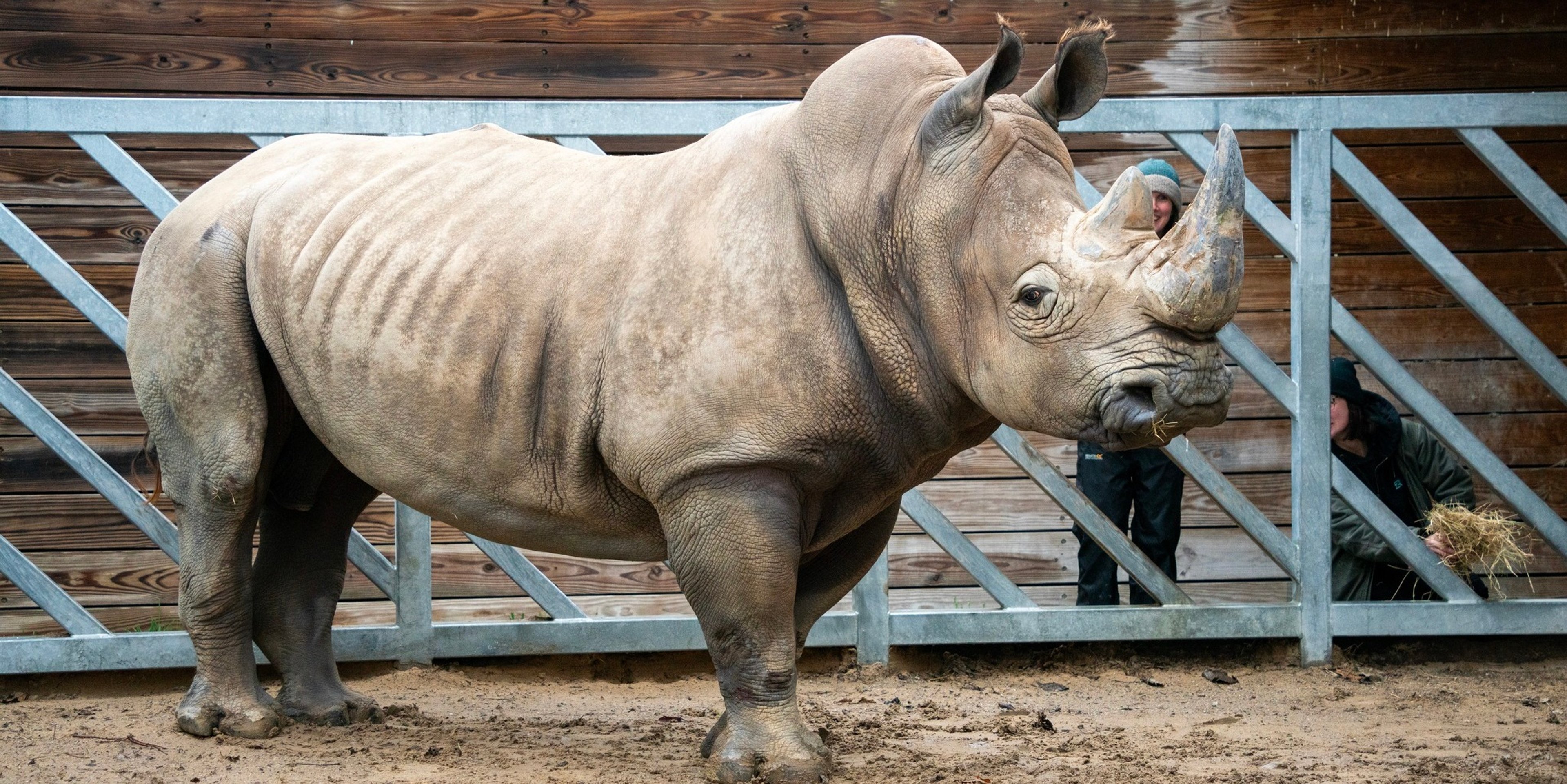 Image for Potawatomi Zoo