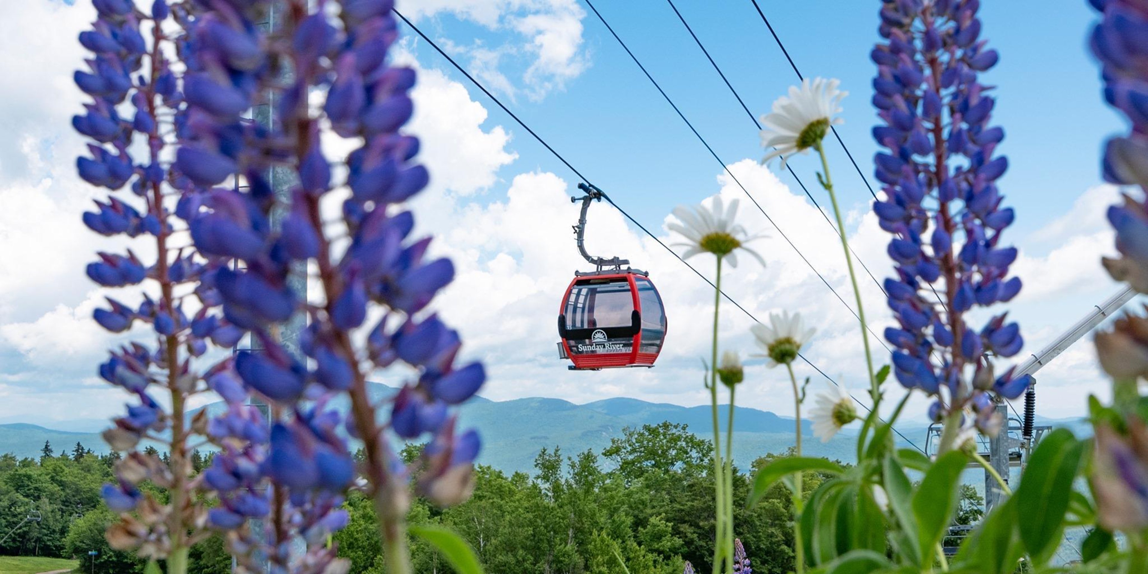 Image for Sunday River