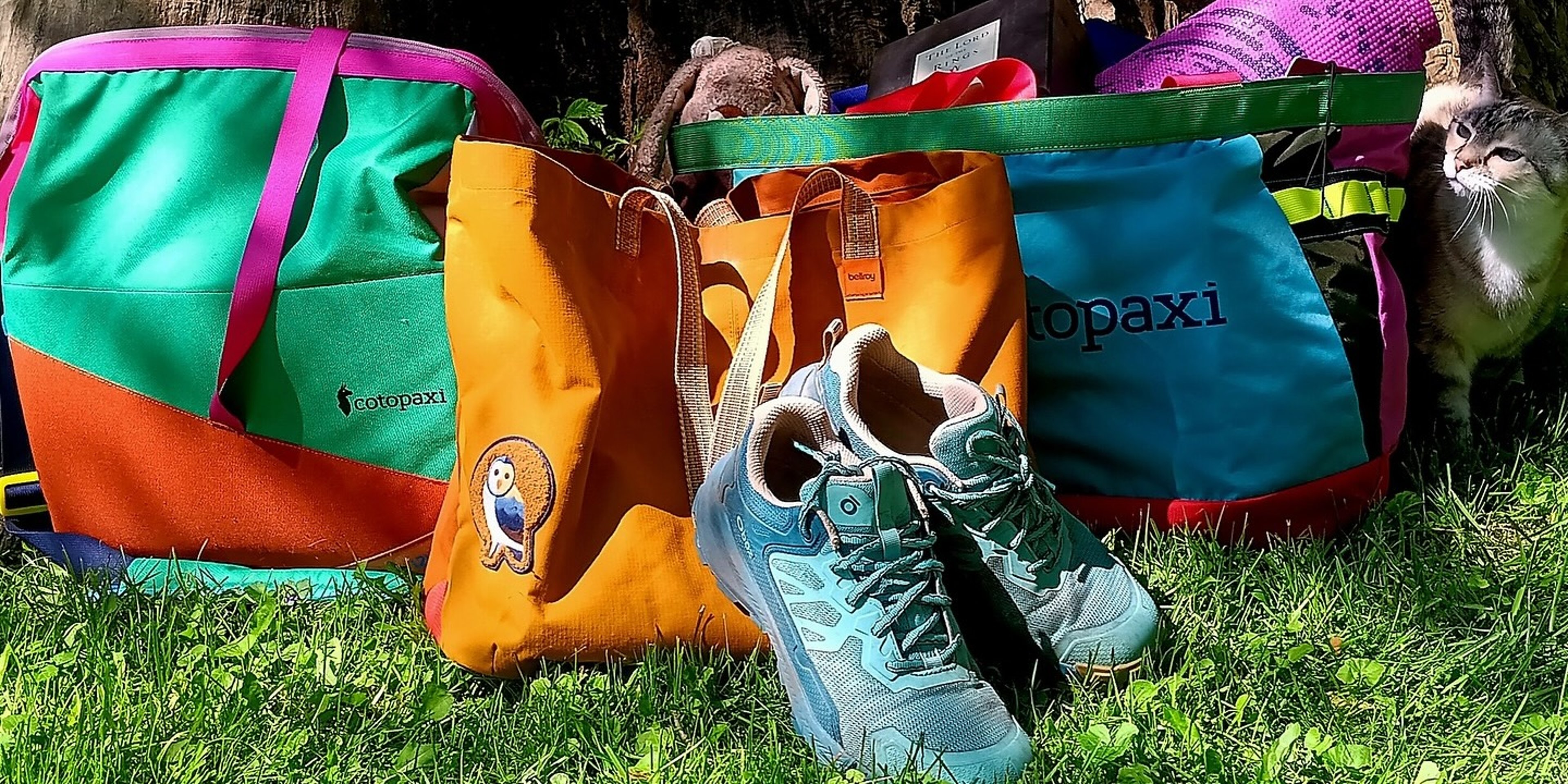 Image for Bivouac Ann Arbor