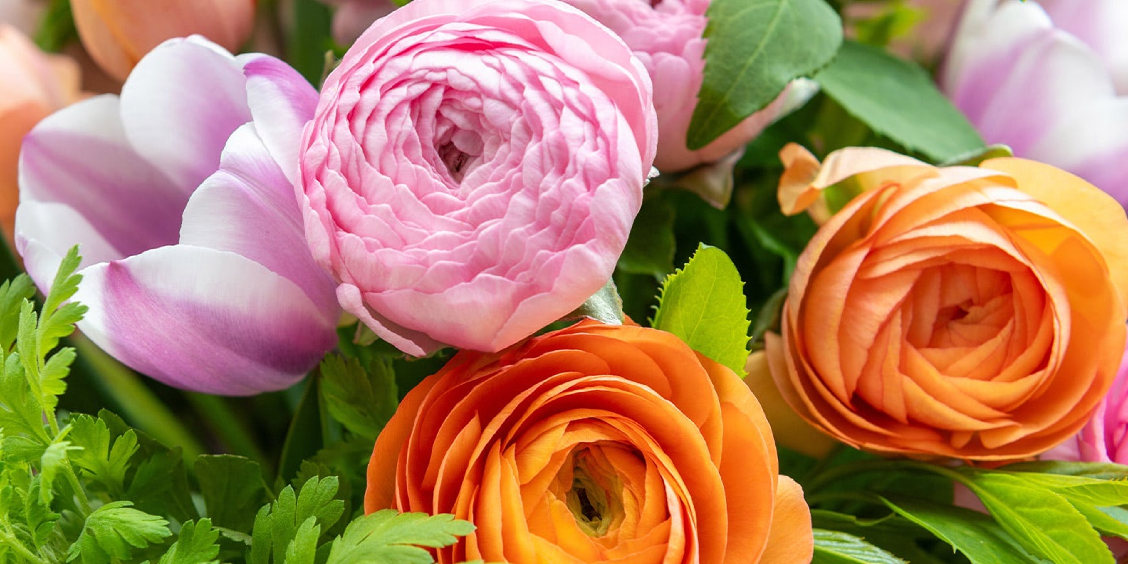 Image for Rose Bud Flowers & Gifts