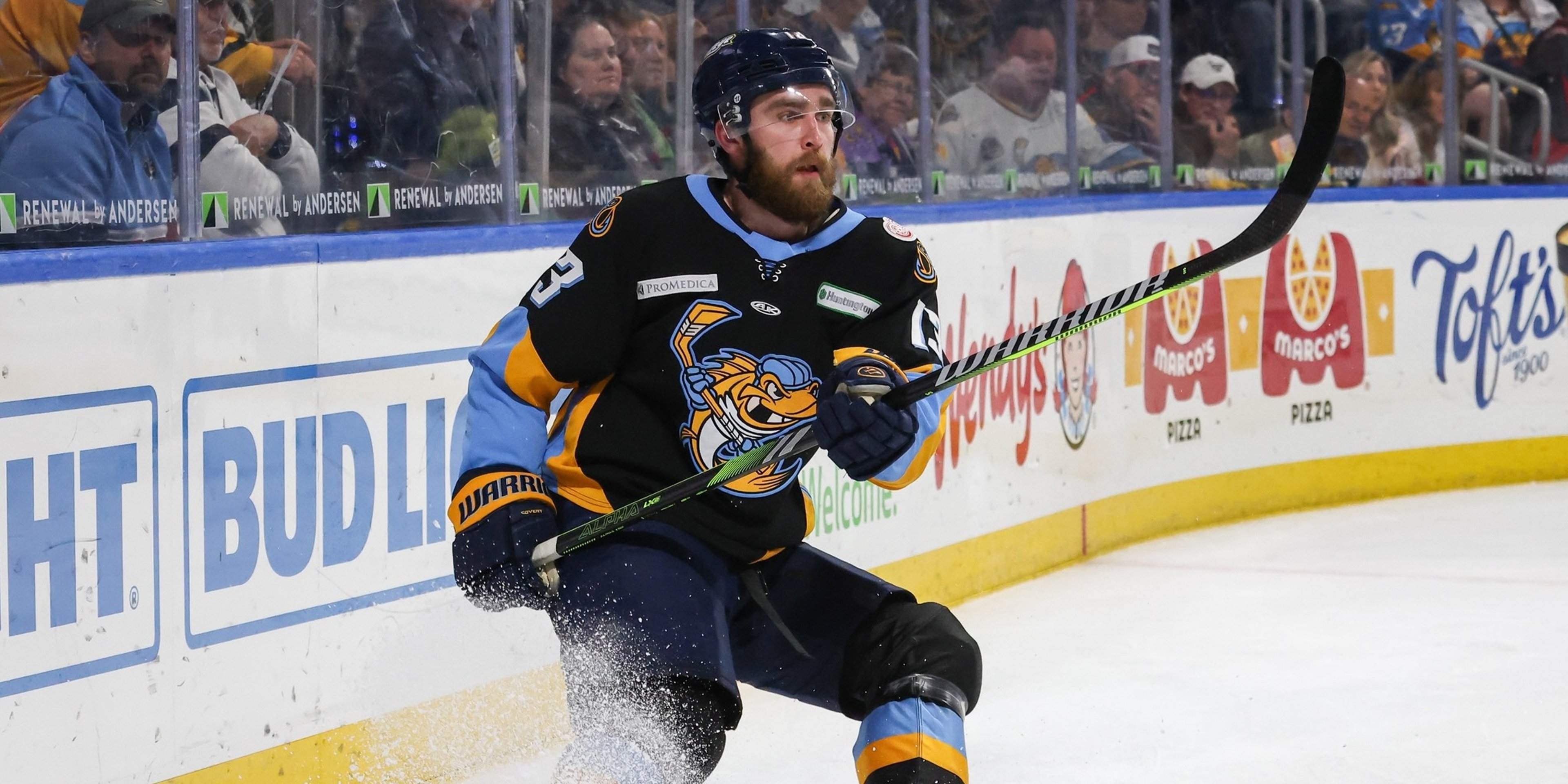 Image for Toledo Walleye