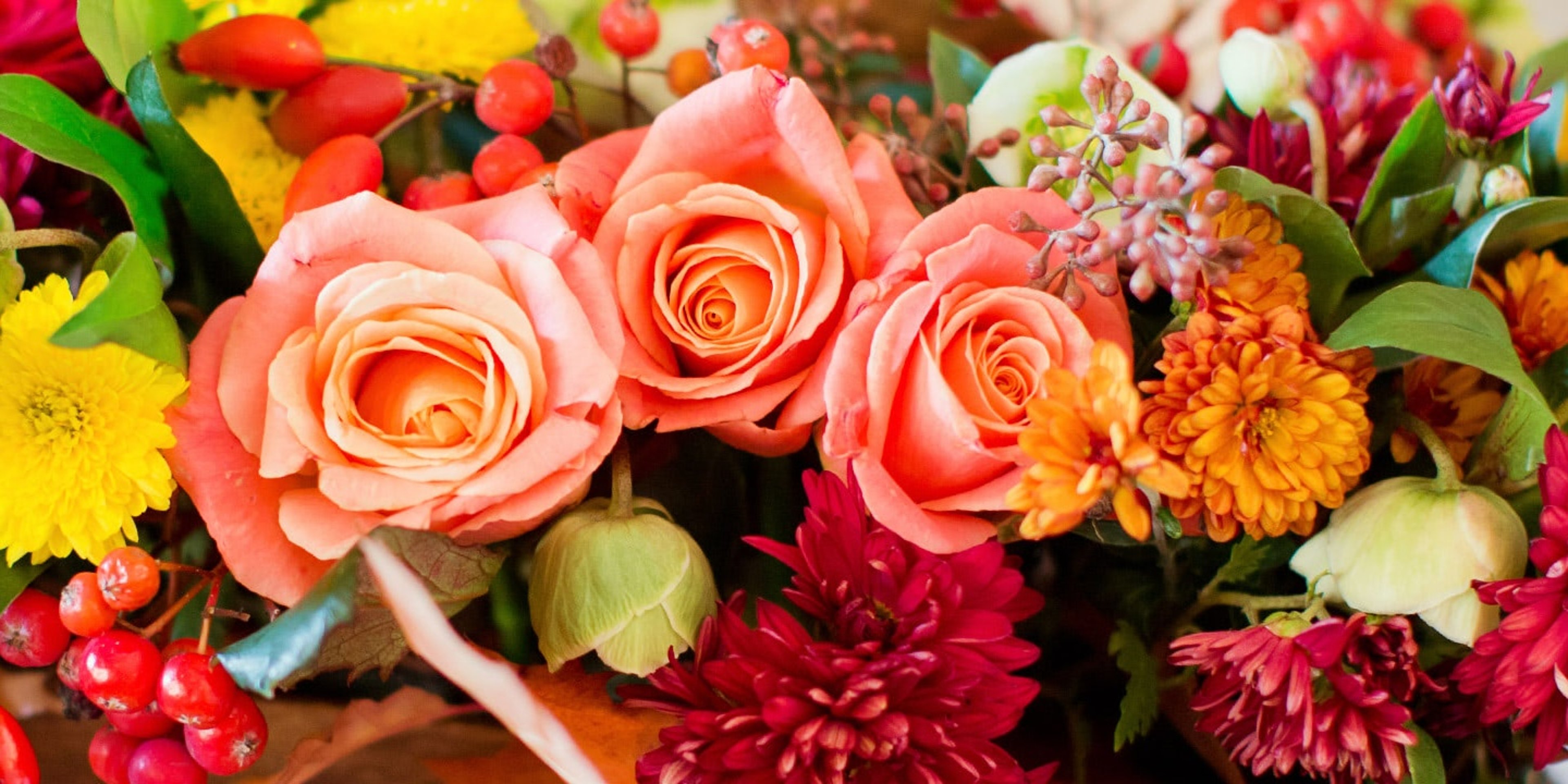 Image for Expressions Unlimited