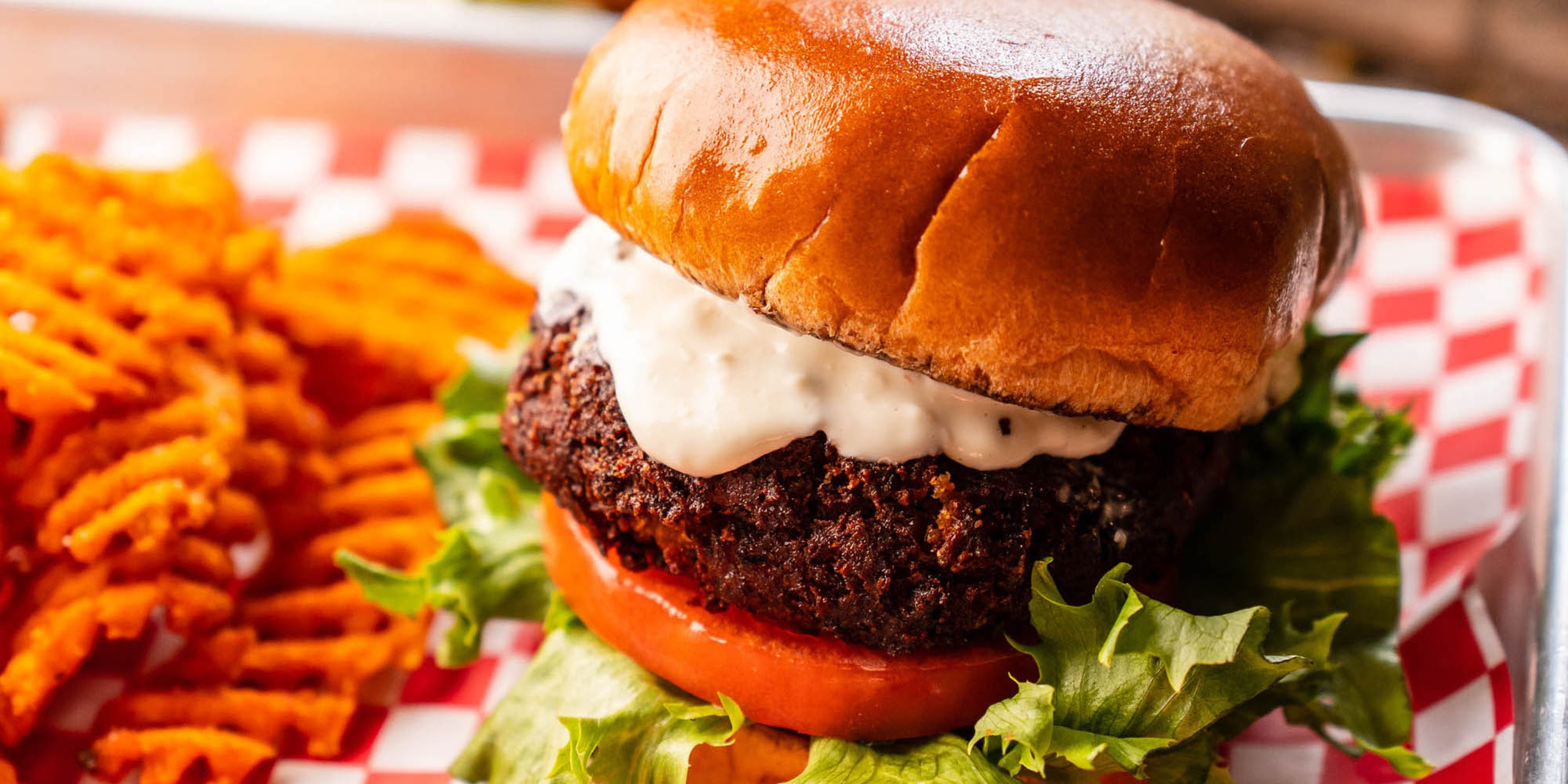 Image for The 5 Spot (Sandfly)