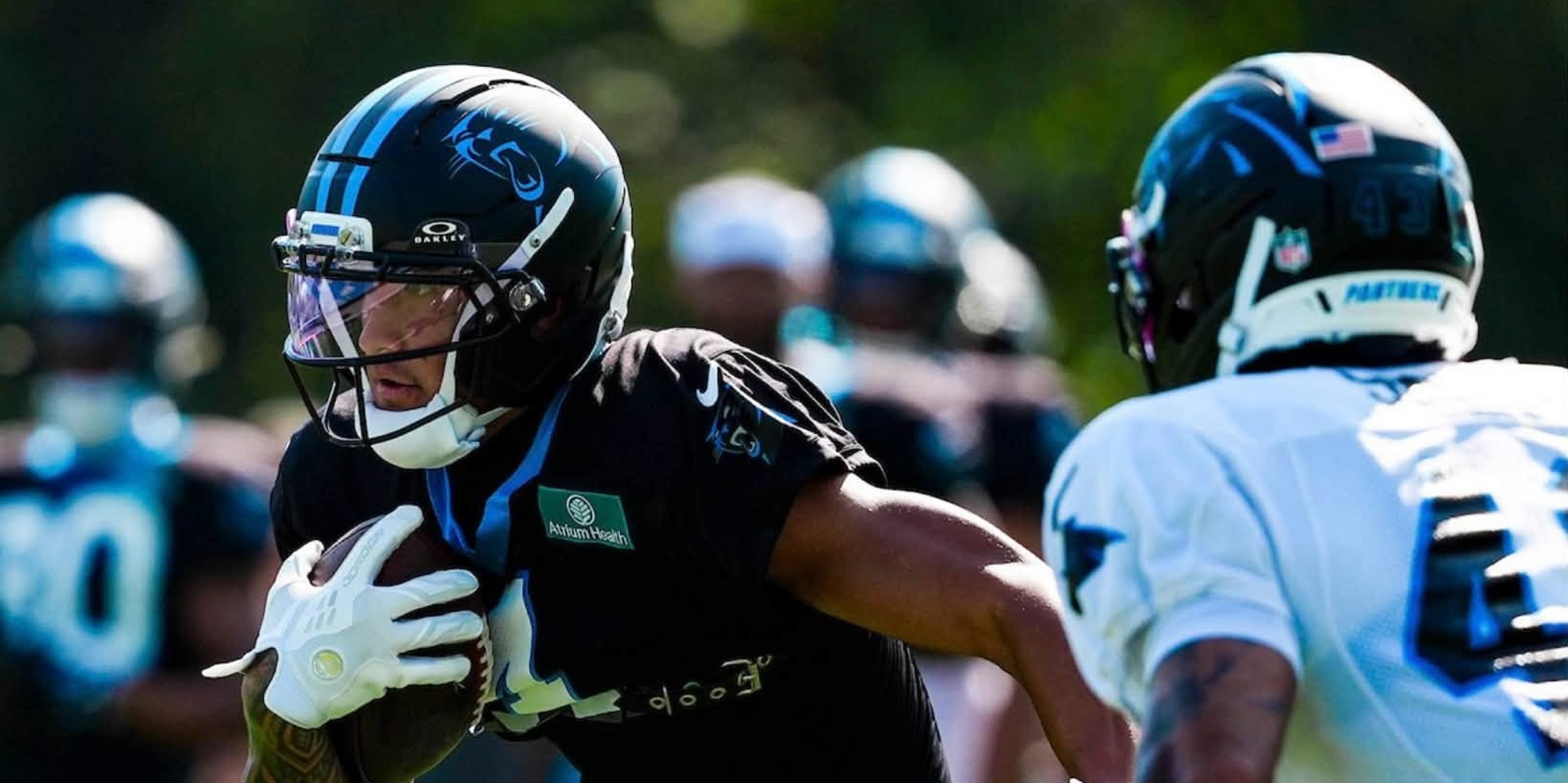 Image for Carolina Panthers