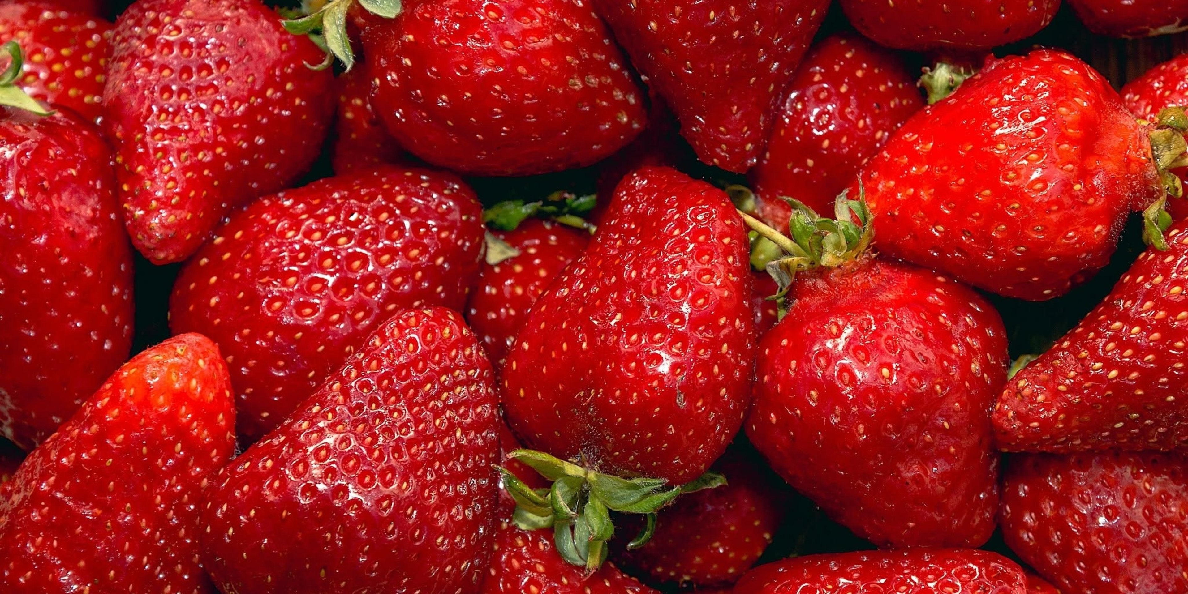 Image for Yoke's Fresh Market
