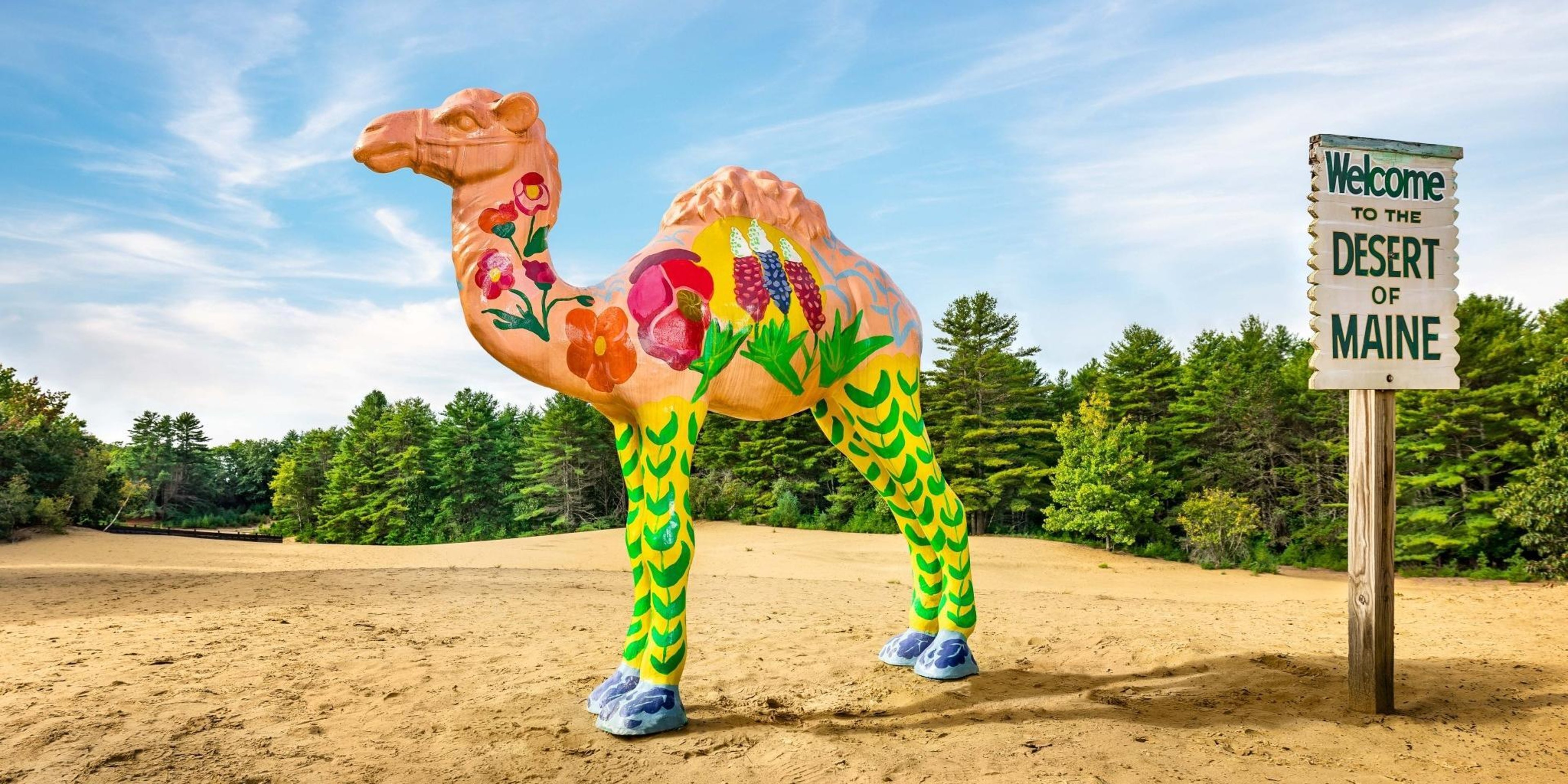 Image for Desert of Maine