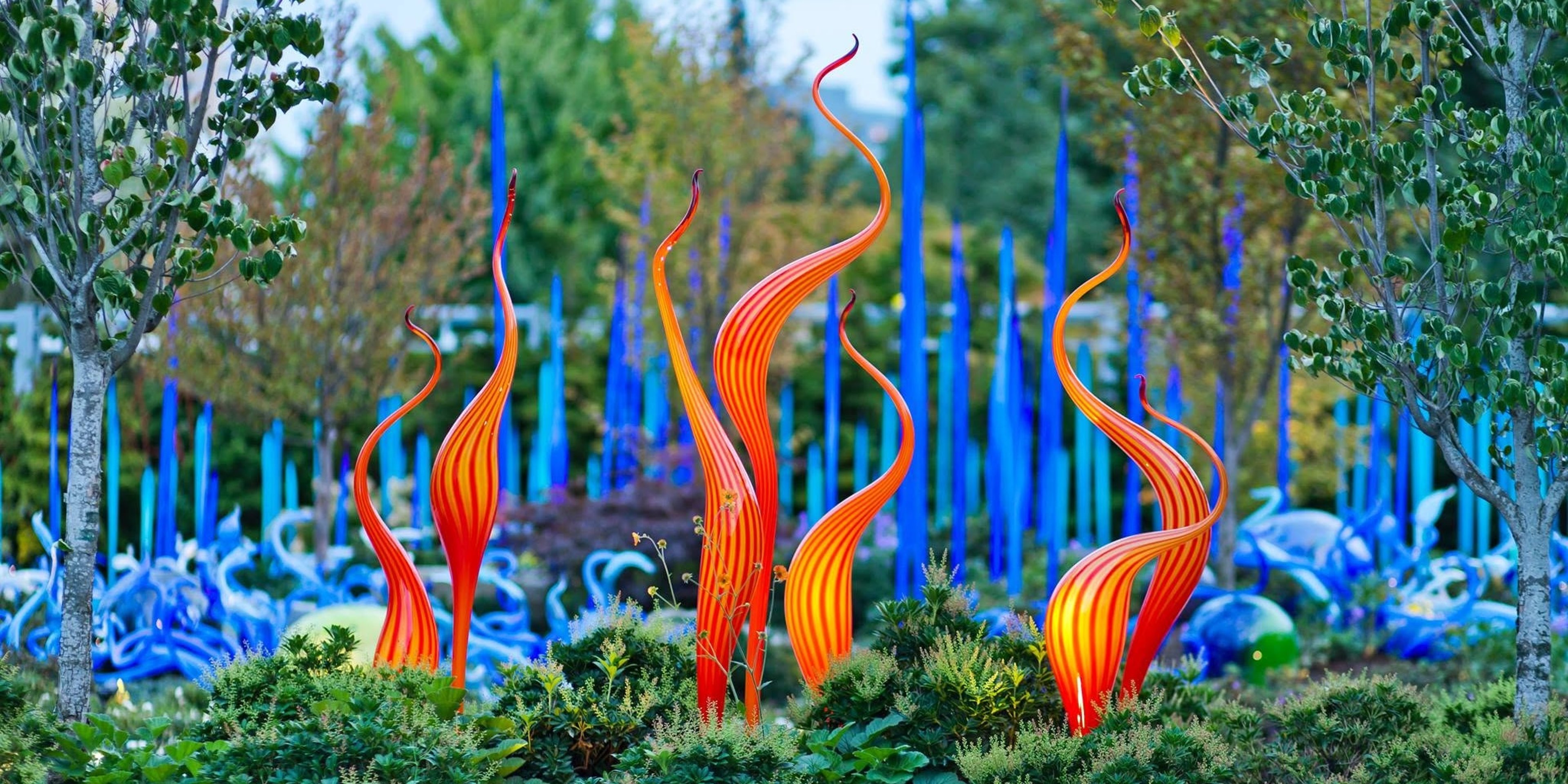 Image for Chihuly Garden and Glass