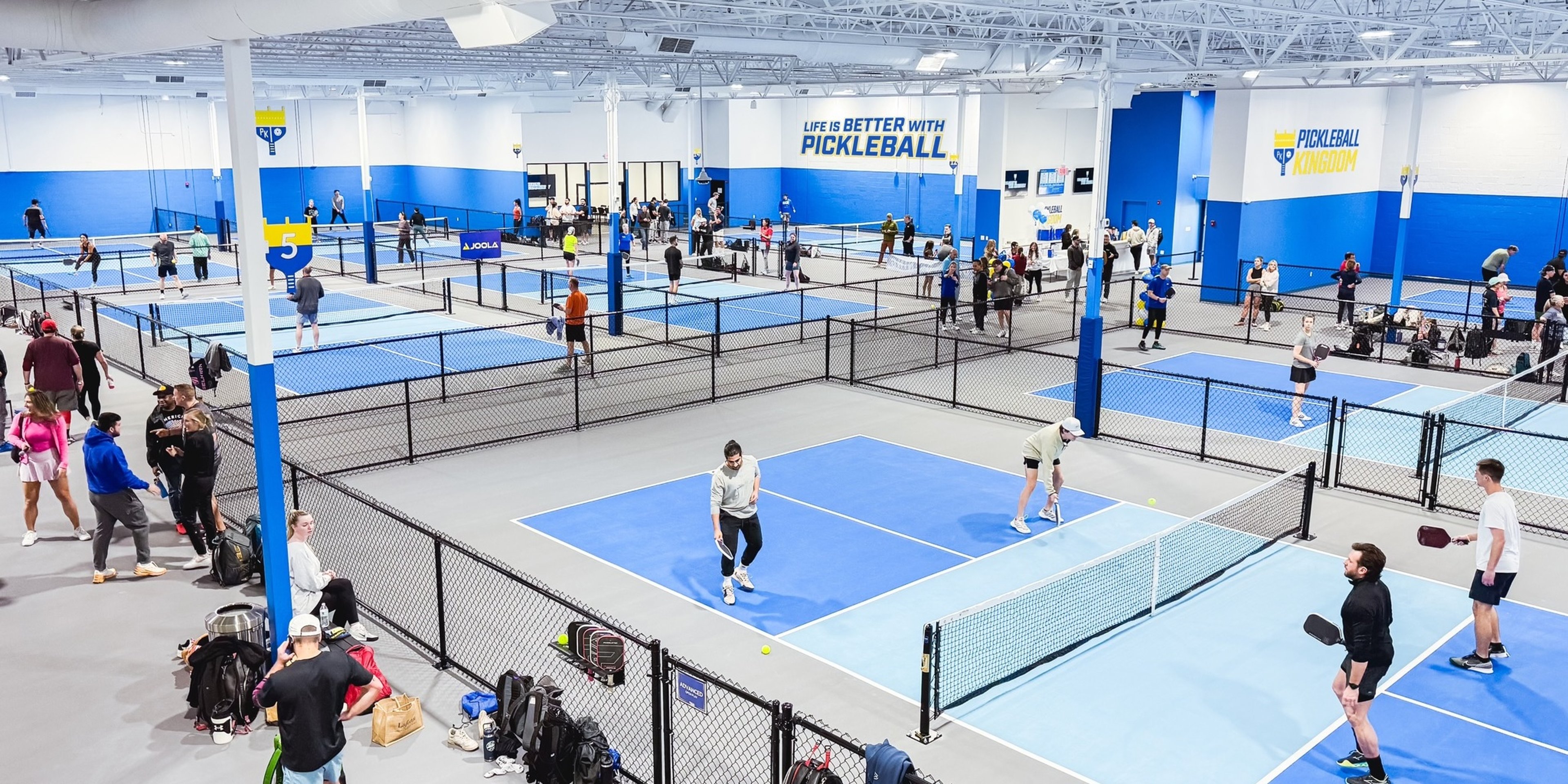 Image for Pickleball Kingdom