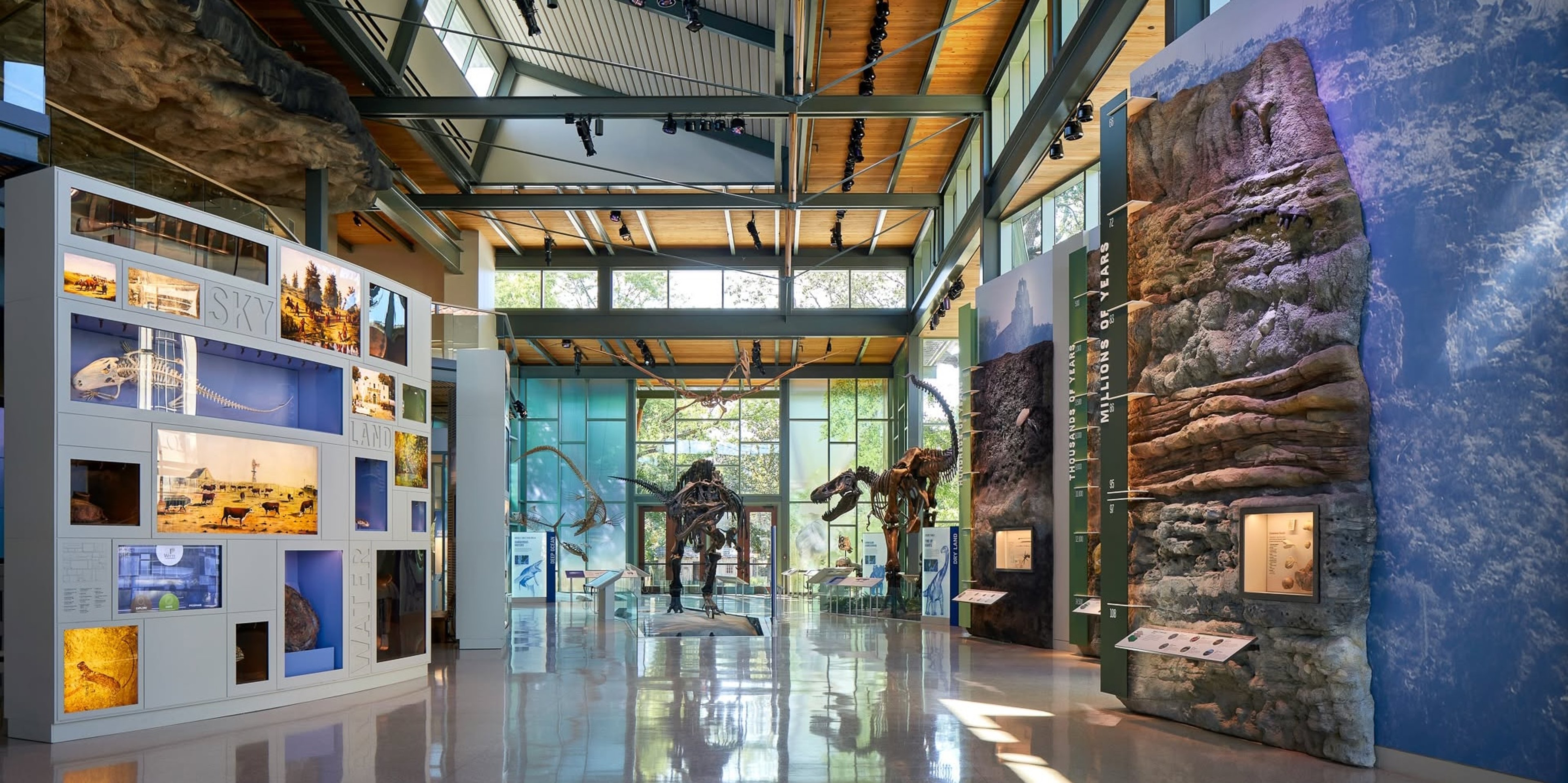 Image for Witte Museum